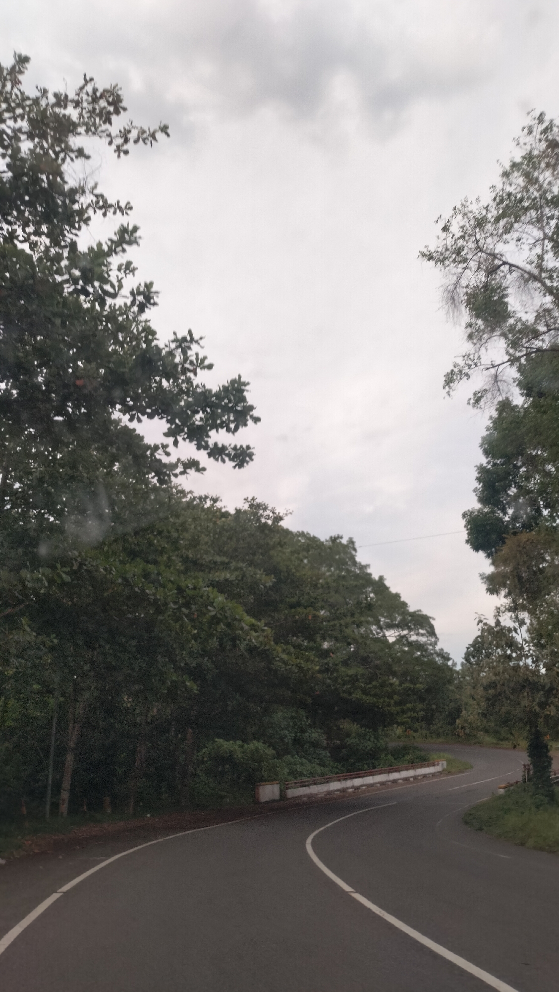 The image displays a winding asphalt road cutting through a dense, verdant forest under a heavily overcast sky. The road features solid white lines along both edges, guiding the eye as it curves gently to the right, disappearing into the lush green foliage ahead. On the right side of the road, a low, white concrete and metal guardrail follows the bend, separating the road from a forested embankment.
Tall, leafy trees with rich green canopies flank both sides of the road, creating a natural, tunnel-like effect in places. The foliage appears thick and healthy, characteristic of a tropical environment. The sky above is a uniform light grey, filled with soft, diffused clouds that indicate an overcast day. Faint, thin horizontal lines, possibly power or communication cables, are visible against the cloudy backdrop in the upper middle section.
There are no people, vehicles, or specific activities depicted in the scene, conveying a sense of tranquility and natural solitude. The presence of what appears to be water droplets or rain streaks on a surface in the foreground suggests the photograph was taken from inside a vehicle, possibly during or after a light rain. The setting is identified as Lamtamot, Indonesia, which aligns with the tropical, forested landscape. No text is visible within the image.