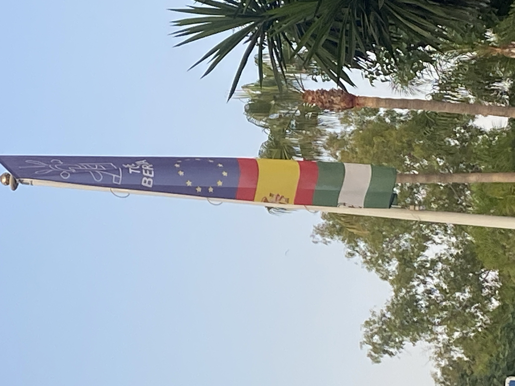 A flag is unfurled from a flagpole against a clear blue sky. The flag is divided into several colored sections, with the leftmost section being dark blue and adorned with yellow stars. To the right of the blue section are stripes of red, yellow, and green. A white element, possibly another flag or part of the pole structure, is visible to the far right.
Behind the flag, palm fronds and other green foliage are visible, suggesting an outdoor setting with tropical or Mediterranean vegetation. The flag appears to be made of fabric and is illuminated by natural light, indicating it is daytime. The lighting and clear sky suggest fair weather. The flag itself has some text on it, with "TERA" being partially legible on the blue section. The overall scene evokes a sense of place, possibly a park, resort, or public area in a sunny location. The image is taken from a low angle, looking upwards.