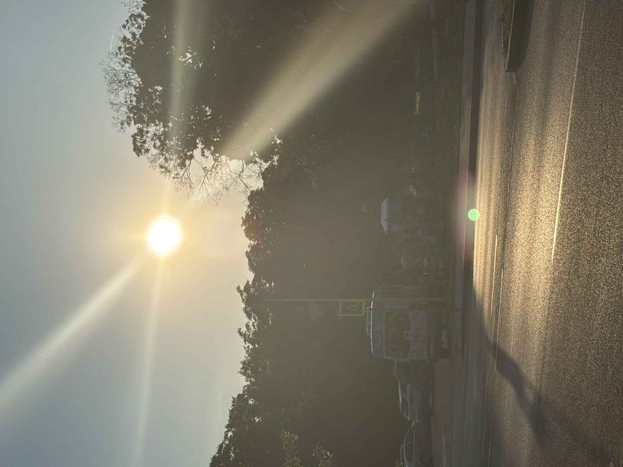 The image captures a street scene in Pazardzhik, Bulgaria, during what appears to be late afternoon or early evening, given the low angle of the sun and the warm, golden light. The sun is prominently positioned in the upper left quadrant, emitting strong rays that create a lens flare effect and a bright halo. A large tree with dense foliage dominates the right side of the frame, partially obscuring the sun and casting a significant shadow.
In the foreground, a paved road is visible with painted lane markings. The asphalt reflects the sunlight, creating a shimmering effect. A distinct shadow, possibly cast by the viewer or an object outside the frame, stretches across the road. On the left side of the road, several cars are parked, including a light-colored sedan and an SUV.
Further down the street, a white minibus is stopped, with a group of people gathered around it. A pedestrian crossing sign, with a yellow diamond shape and a pictogram of a pedestrian, is mounted on a pole. The background is filled with a dense line of trees, creating a verdant backdrop against the hazy sky.
The overall atmosphere is peaceful, with the setting sun casting a warm glow over the urban landscape. The image appears to be a candid shot, capturing a moment in everyday life in Pazardzhik.
