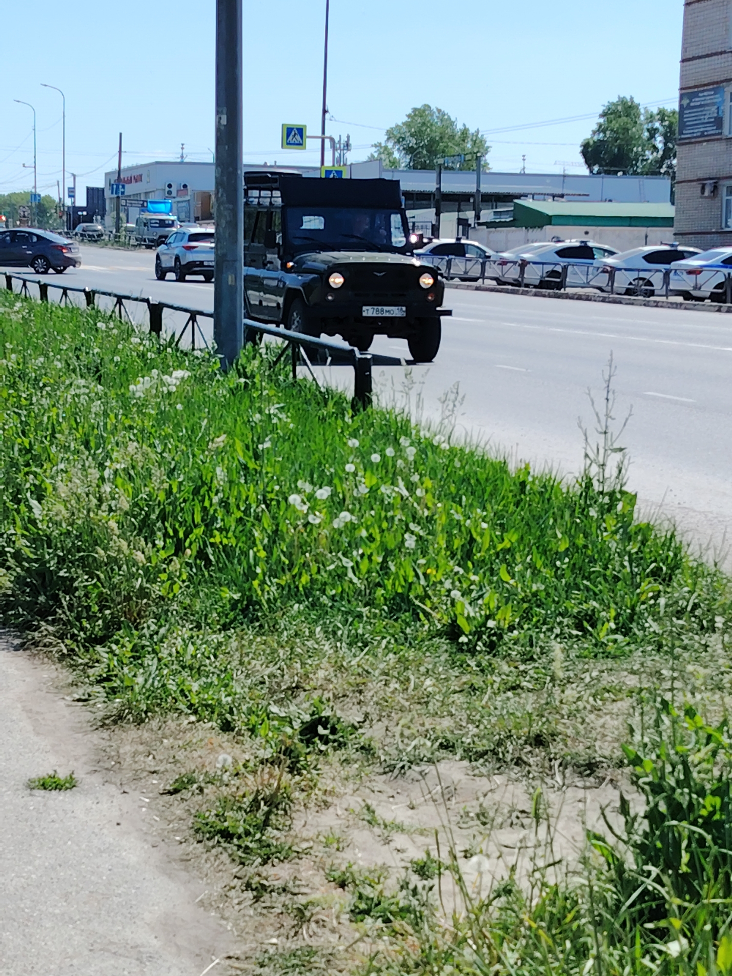 The image shows a black UAZ-469 vehicle with license plate number T 788 MO 16 straddling a metal guardrail on a city street. The vehicle is positioned between the sidewalk and the roadway, with its front wheels appearing to be suspended over the guardrail. A patch of overgrown vegetation is in the foreground.
In the background, there is a multi-lane road with other vehicles, including cars and what appears to be police vehicles lined up. There are buildings and streetlights visible in the distance. Pedestrian crossing signs can be seen above the vehicles.
The location appears to be a street in the city of Chaikovsky, Russia based on the license plate series. The time of day seems to be daytime, likely in the morning or early afternoon, as indicated by the shadows and the clear sky. No people are clearly visible in the image.