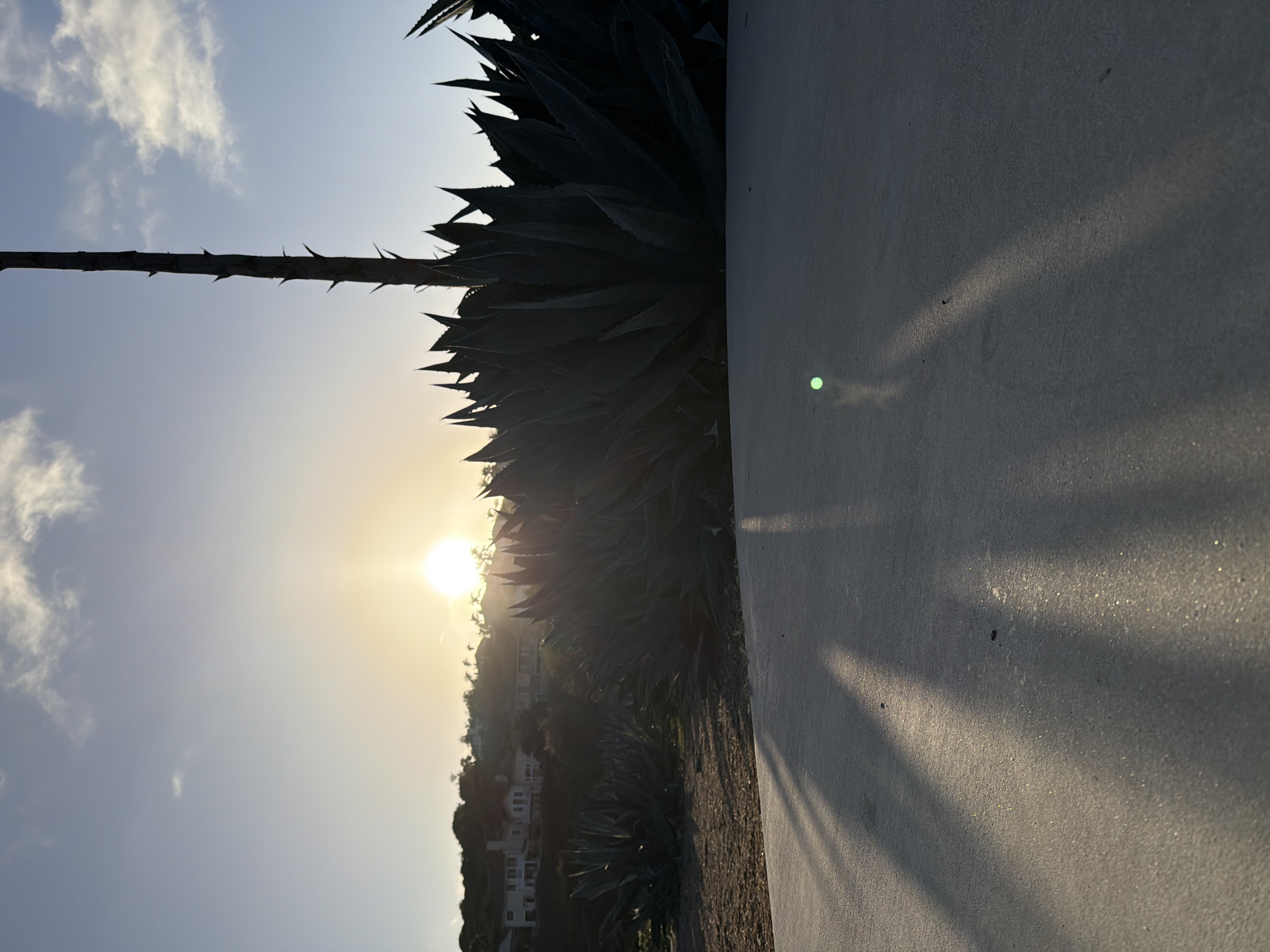 An outdoor scene at sunrise in Aliso Viejo, California, features a large agave plant in the foreground with long, sharp leaves. The sun is low in the sky, casting long shadows across a paved pathway in the foreground. In the background, a hillside is dotted with residential houses and palm trees, all silhouetted against the bright sky. The sky is a pale blue with scattered white clouds, and the sun is a bright orb creating a lens flare.