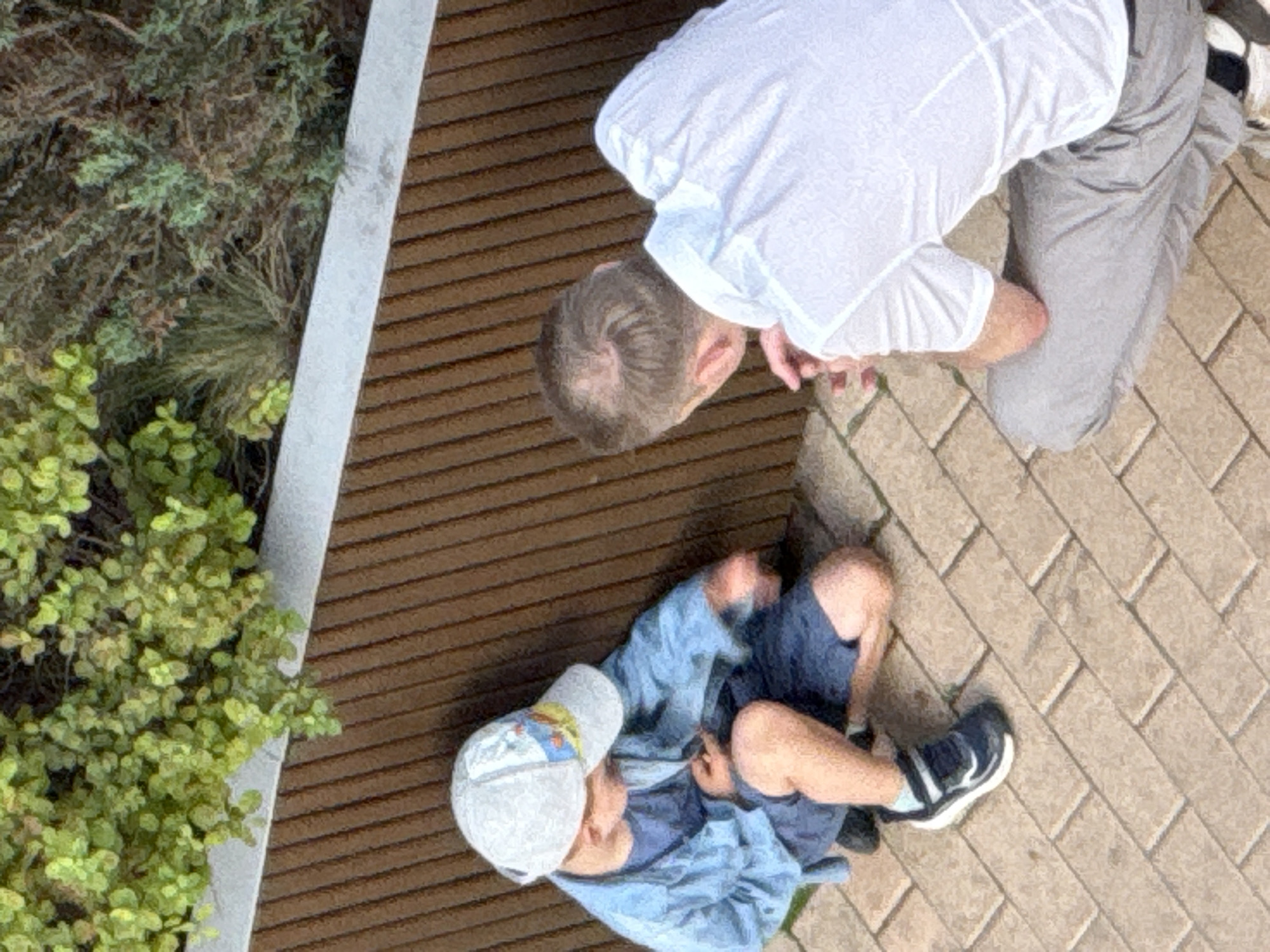 A young boy wearing a light blue jacket, dark blue shorts, and a white baseball cap is kneeling on a brick pathway. He is looking down at something in his hands. Beside him, a man wearing a white t-shirt and gray pants is also crouching, facing the boy. They appear to be interacting, possibly examining something together. The background consists of a brown wooden fence topped with a white ledge and greenery. The scene is set outdoors on a paved area. This image was taken in Dolgoprudny, Russia.