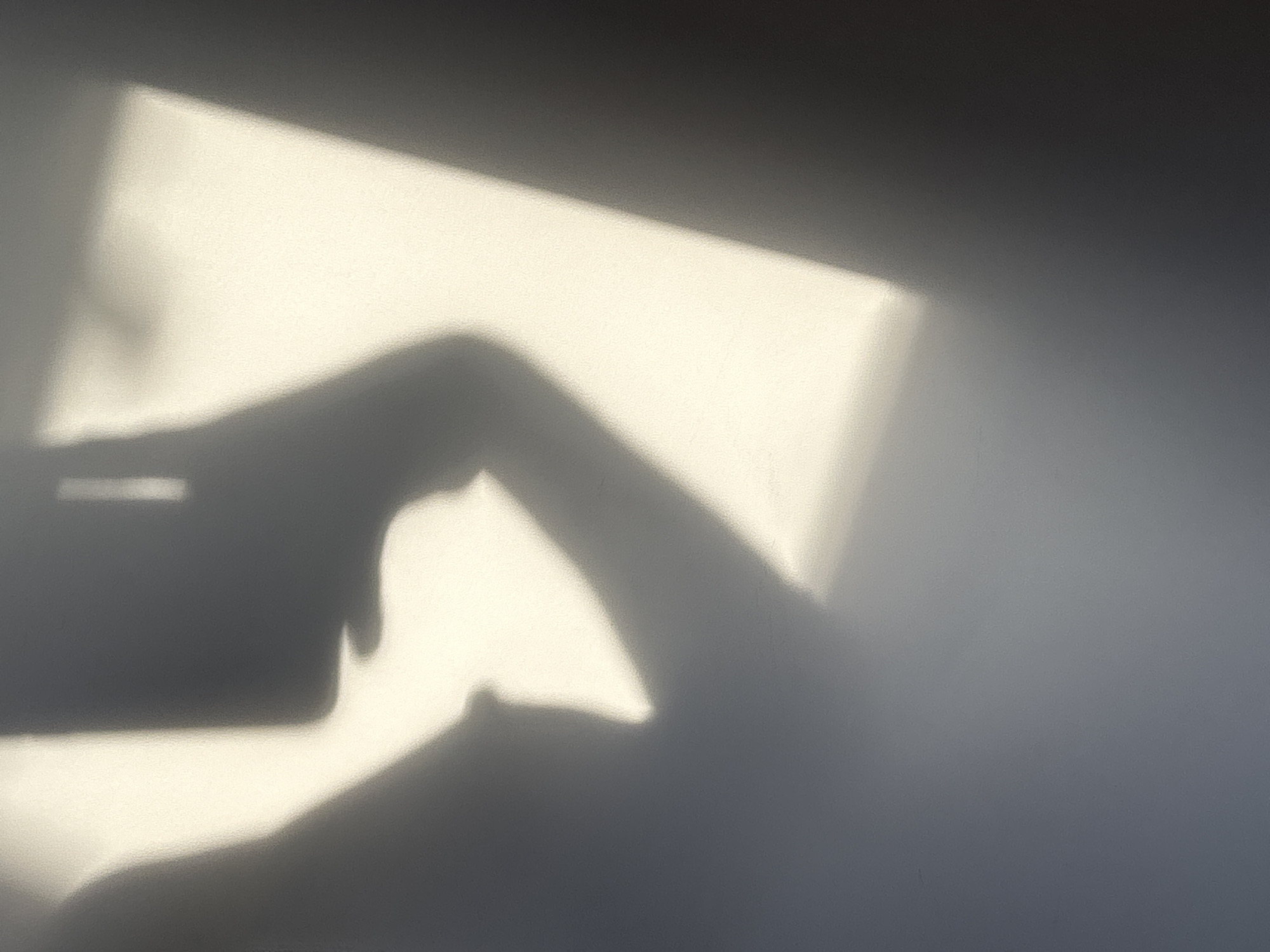 The image shows a shadow of a hand holding a cell phone against a wall with a rectangular patch of sunlight.