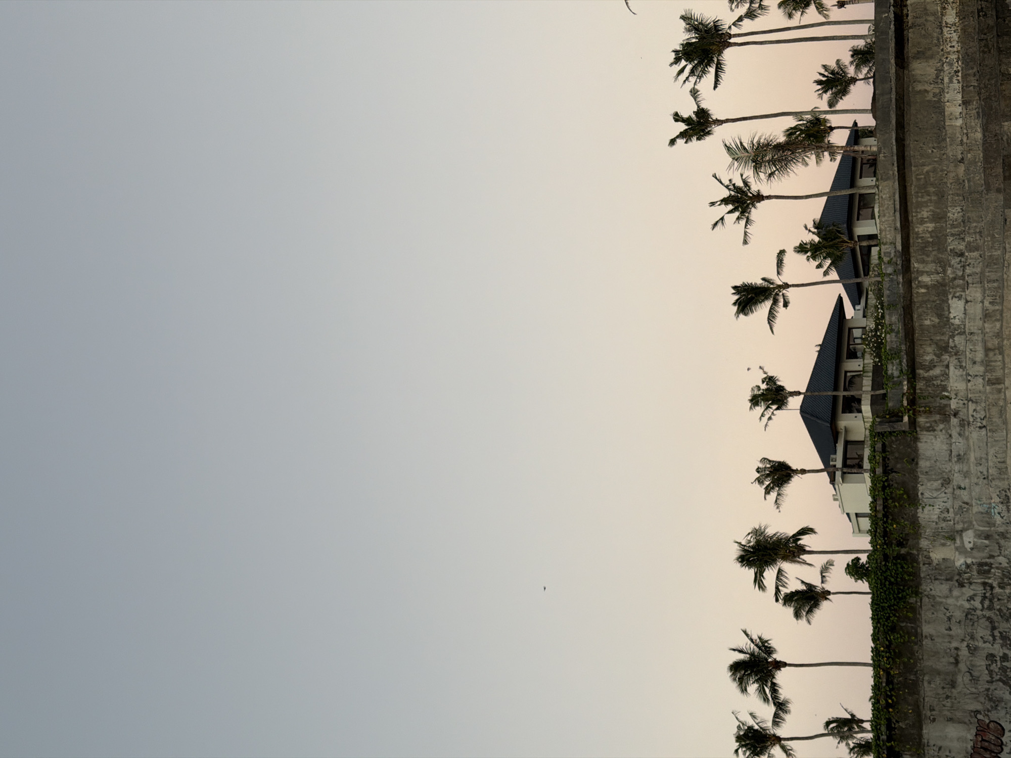 The image displays a serene landscape, dominated by a vast expanse of sky and a horizontal strip of tropical elements at the bottom (when viewed correctly, as the original image is oriented vertically with the right side as the bottom).
The sky occupies roughly two-thirds of the frame, showcasing a subtle gradient. It transitions from a warm, very light yellow or pale peach hue on the right to a cooler, muted grey-blue on the left. This soft lighting suggests either dawn or dusk. A single, tiny, dark bird is visible flying in the upper left quadrant of the sky.
Along the bottom edge, a dense line of tall palm trees stands in silhouette against the twilight sky. Their fronds are dark and bushy, characteristic of tropical varieties. Behind and nestled among the palms are several buildings with dark, sloped roofs and white or light-colored walls, indicating architectural structures like houses or a resort. To the right of these buildings, a weathered, rough-textured concrete or stone wall runs horizontally, appearing worn with patches of dark staining and some faint, indiscernible graffiti or markings. Greenery and vines are seen growing along the base and up parts of this wall.
No people are visible, and no specific activity is taking place, contributing to a calm and quiet ambiance. The scene evokes a tropical setting, consistent with the location context of Mengwi, Indonesia. There is no clearly legible text in the image.