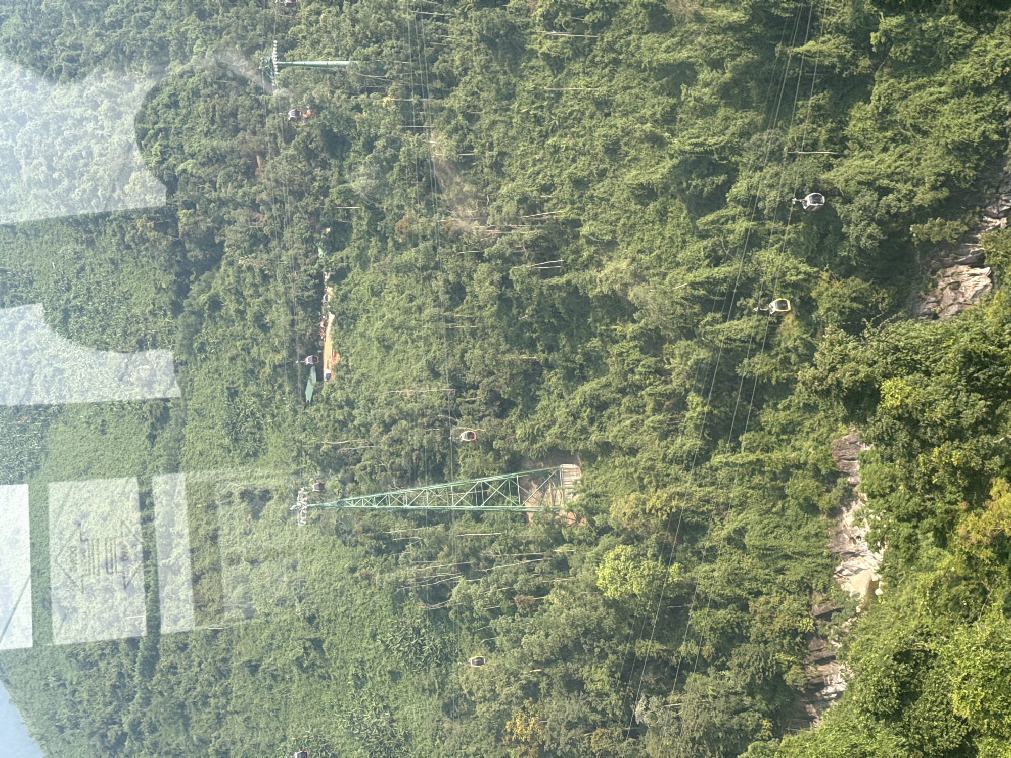 From an elevated perspective, the image captures a dense, green landscape intersected by a cable car system, likely in the Ba Na Hills area near Đà Nẵng, Vietnam. A green cable car support tower is visible amidst the foliage. Cable cars are suspended along the lines at various points. Some cable cars are red, and others are white or yellow. A rocky cliff edge is visible on the right side of the frame, densely covered with vegetation. Reflection in the left corner may be that of a window.