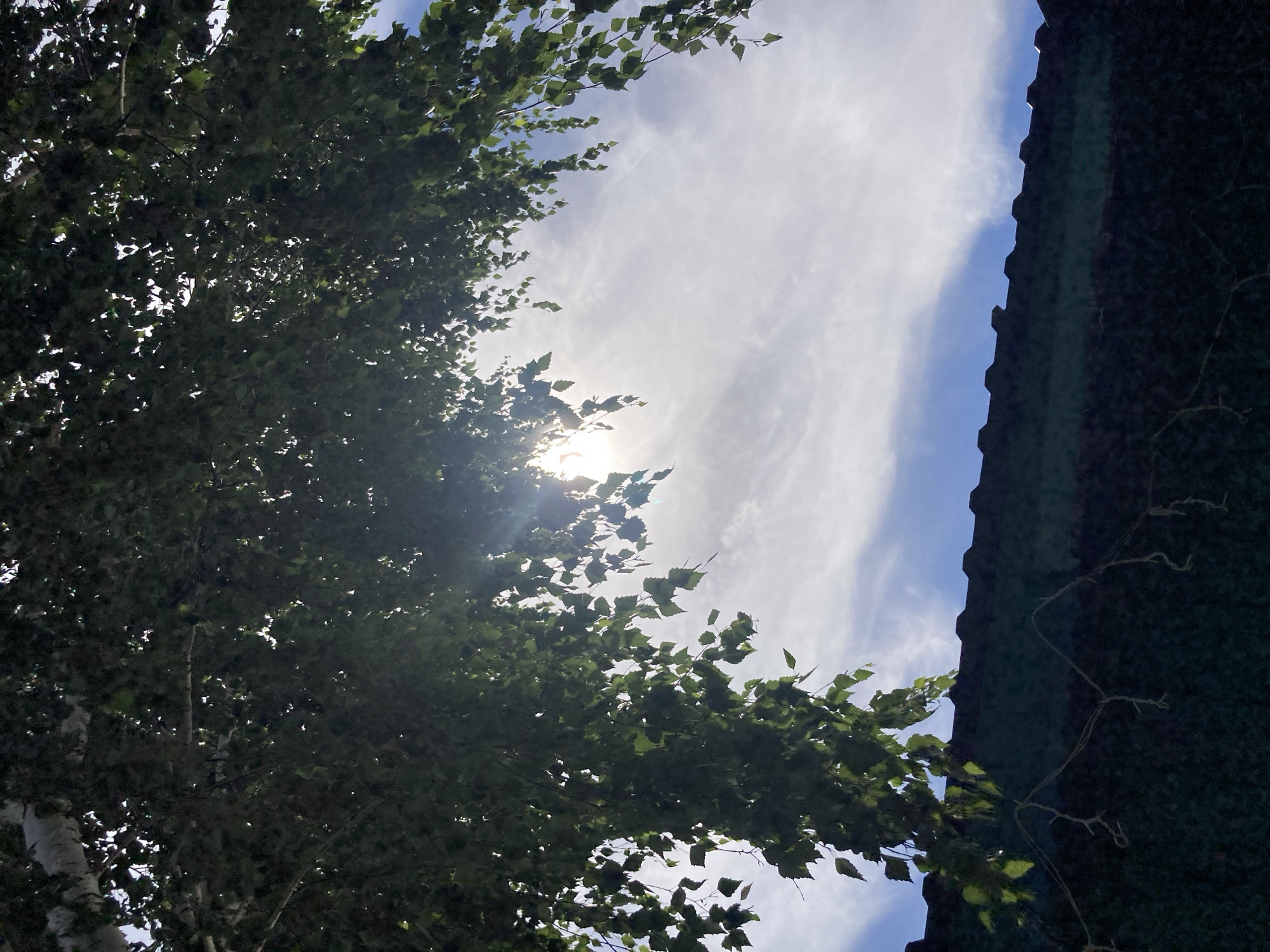 This is a low-angle outdoor photograph taken from a ground-level perspective, looking upwards towards a bright sky. The image captures a portion of a dark green roofline running horizontally across the lower third of the frame. Above the roof, the sky is a vibrant blue with wispy white clouds, suggesting a clear or partly cloudy day. A significant portion of the upper two-thirds of the image is filled with the dense green foliage of a tree, its branches and leaves obscuring much of the sky. The sun is visible through the leaves, creating lens flare and highlighting some of the leaves with a bright glow. The sun appears to be positioned towards the upper left quadrant of the image, casting light through the canopy. Some thin, light-colored string lights are visible draped along the top edge of the roof, with a few strands hanging down. The overall scene suggests a natural setting, possibly a backyard or garden area, with elements of artificial light possibly intended for decoration. No people are visible in the image. The location is specified as Ракиты, Russia.