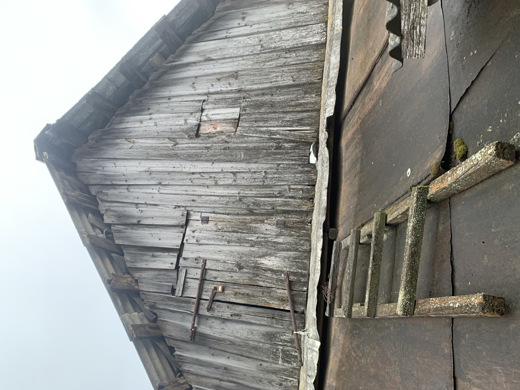 The image shows the weathered exterior of an old wooden structure, likely a barn or shed, with a corrugated metal roof. A rustic wooden ladder, green with moss, rests on the roof. The wooden facade of the building is grey and shows signs of age and wear, with vertical planks. There are two small, rectangular openings in the wooden wall, and a narrow doorway secured by metal bars and a padlock. The overall impression is one of disuse and neglect. The location is identified as Vidzaŭski sel'ski savet, Belarus, suggesting a rural or semi-rural setting. The sky is overcast, contributing to the muted color palette and somber atmosphere of the scene.