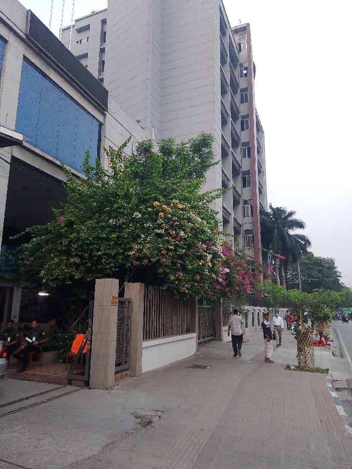 The image shows a street scene in Dhaka, Bangladesh, at the intersection of Road 14 and Road 15 in Dhanmondi. A tall, grey building with multiple windows dominates the left side of the frame. A large tree with green leaves and pink, yellow, and white blossoms partially obscures the building. A wrought iron gate with a wooden post and a sign is visible on the building's facade. To the right of the gate, three men are walking on a paved sidewalk in the direction of a busy street. The men are dressed casually in white shirts and long pants. On the right side of the frame, a row of trees can be seen, and a road with traffic is in the distance. The sidewalk is lined with a row of small trees and decorative planters, which are filled with small plants and flowers. The overall scene is bright and clear, with a hazy sky in the background.