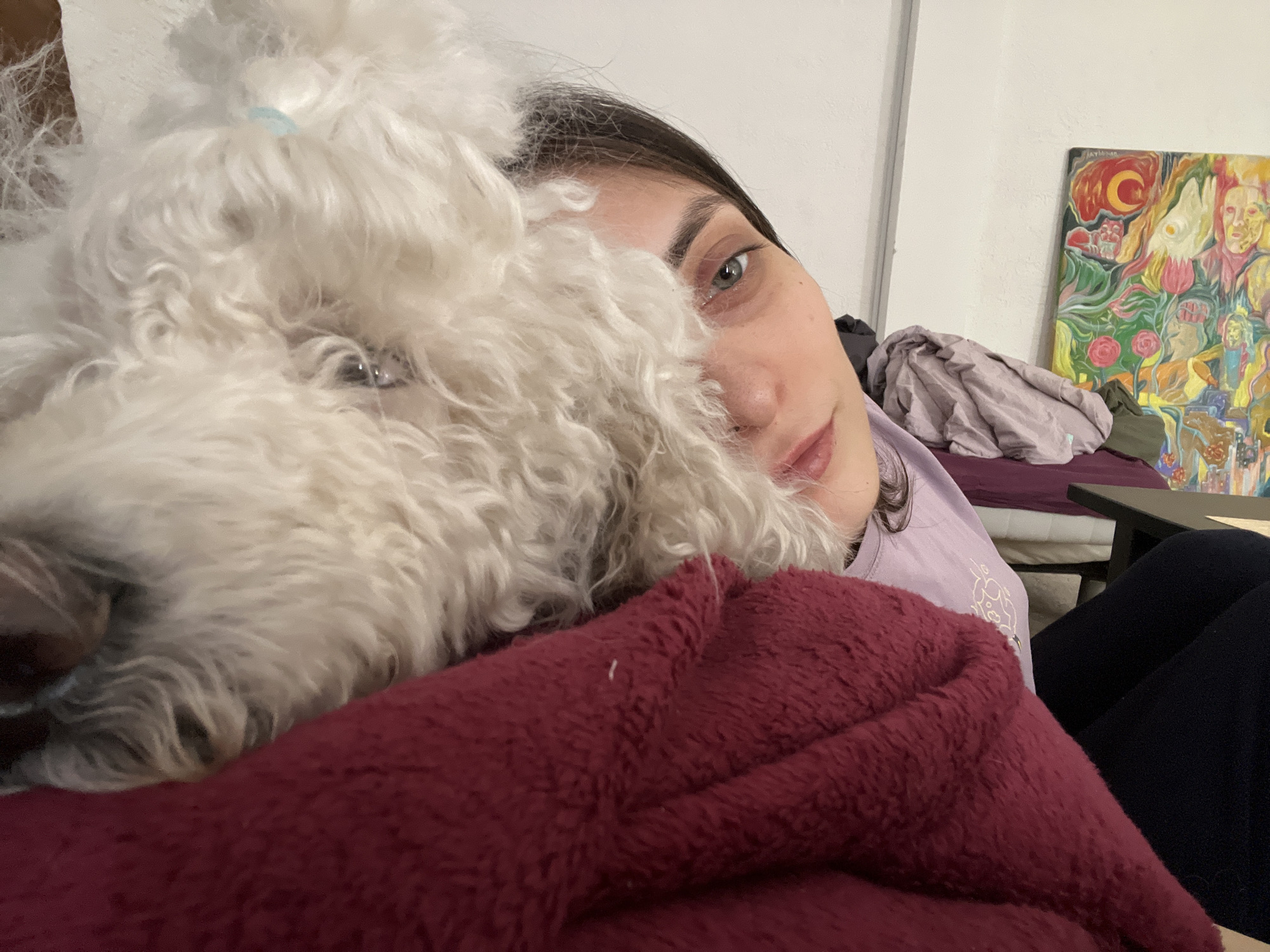 A woman is holding a white fluffy dog. The dog's fur covers a portion of the woman's face. The woman is wearing a lilac shirt and black pants. A red blanket is visible in the foreground. In the background, there is a bed, a small black table, and a colorful painting on the wall. The location is not discernable as Krasnoyarsk, Russia.