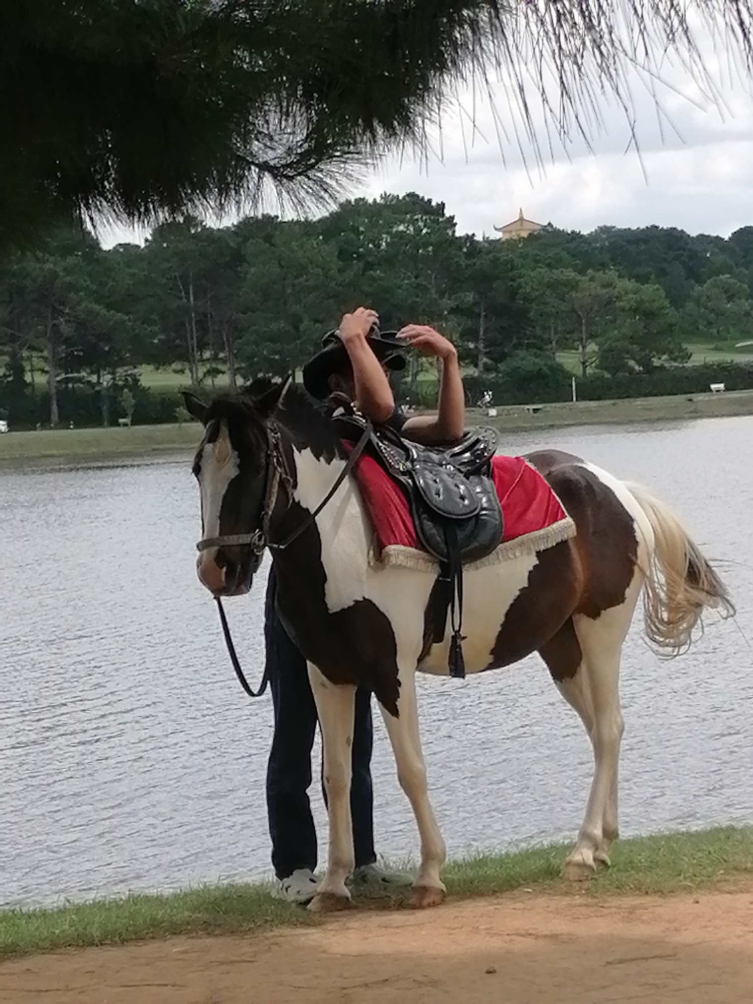 A piebald horse stands on a grassy embankment next to a lake, with a person on its back and another person holding its reins. The person on the horse is wearing a cowboy hat and is adjusting it, while their arms are resting on the horse's neck. The other person, dressed in dark pants and white shoes, is standing next to the horse's hind legs, holding a dark rope. The horse is adorned with a red saddle blanket with fringed edges. In the background, a dense forest of pine trees lines the opposite shore of the lake, and a pagoda-like structure is visible on a distant hill. The sky is overcast, suggesting a cloudy day. The overall scene depicts a leisure activity, possibly horseback riding, in a scenic natural setting that appears to be Da Lat, Vietnam, given the distinctive pine trees and the presence of a pagoda.