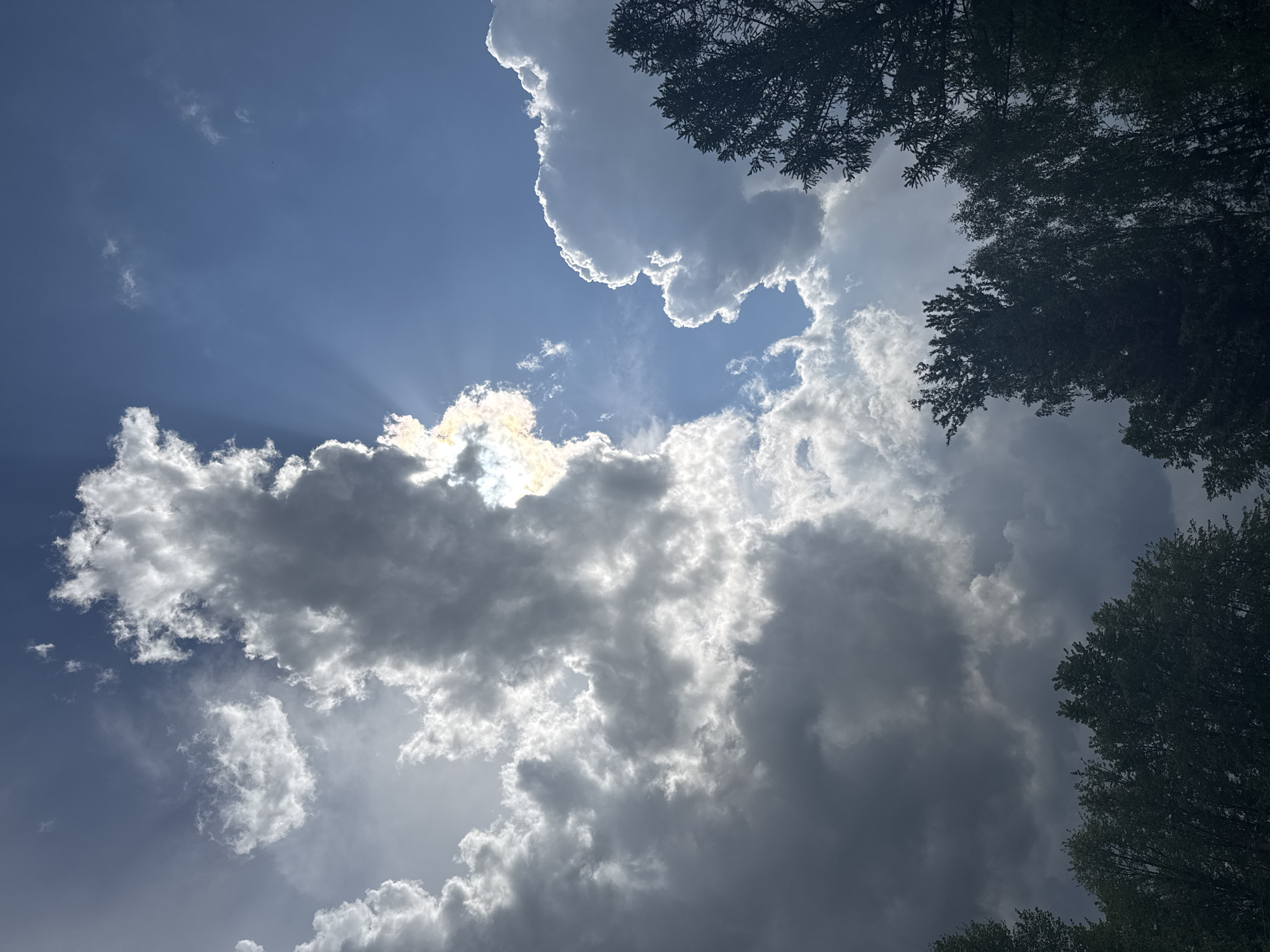 The image depicts a view of the sky, partially obscured by tree branches in the upper-right and lower portions of the frame. The sky is a mix of blue and dense, grey clouds, some of which are backlit by the sun, creating bright spots and beams of light. The cloud formations range from fluffy, white cumulus clouds to darker, stormier-looking clouds. The scene appears to be outdoors, possibly in a park or wooded area. There's no indication of it being in Shevlyakovo, Russia, or any other specific location, nor are there any people visible.