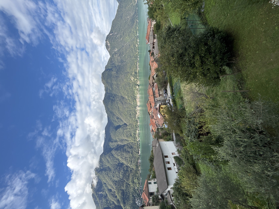 This image presents a panoramic view of the village of Nesso, Italy, situated on the eastern shore of Lake Como. The sky is bright blue with scattered white cumulus clouds, partially obscuring the upper reaches of the mountains in the background. A range of heavily forested, dark green mountains dominates the horizon, with some peaks exhibiting light cloud cover or mist. Below these mountains, the tranquil, greenish-turquoise waters of Lake Como extend horizontally across the mid-distance.
The mid-ground features the residential area of Nesso, characterized by numerous buildings with distinct terracotta-tiled roofs and light-colored facades, including white, cream, and yellow hues. A prominent white, multi-story building with a dark grey roof and multiple windows is positioned on the left side of the village cluster. Other residential structures are densely arranged, descending towards the lake. Several vehicles are parked on a paved area within this village segment.
The foreground is comprised of dense, uncultivated green vegetation, including various trees with differing leaf structures (some indicative of olive trees), shrubs, and patches of grass. A dark green mesh fence runs along the right side of the foreground, bordering a grassy section. No human figures are visible, and no discernible actions or interactions are depicted. The scene is illuminated by strong daylight.