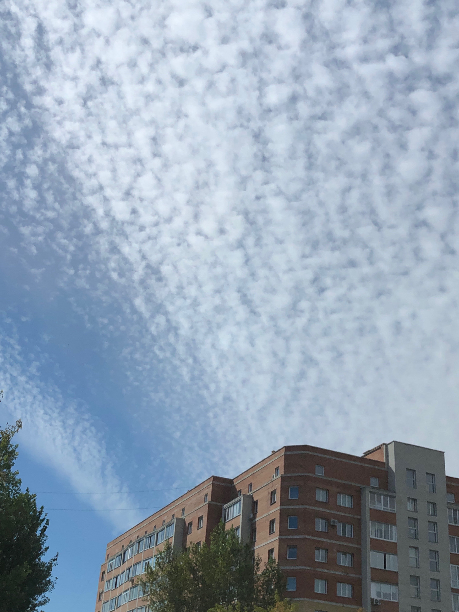 The image captures an upward view of an apartment building on a cloudy day. The building, constructed with reddish-brown brick and gray concrete sections, features numerous windows and balconies. Green trees are visible on the left and right sides of the frame, partially obscuring the lower parts of the building. Two thin, dark lines, possibly utility wires, are suspended in the sky. The sky is predominantly blue, filled with scattered, wispy white clouds, creating a textured pattern across the upper portion of the image. The perspective suggests the photo was taken from a low angle, looking up at the structure.