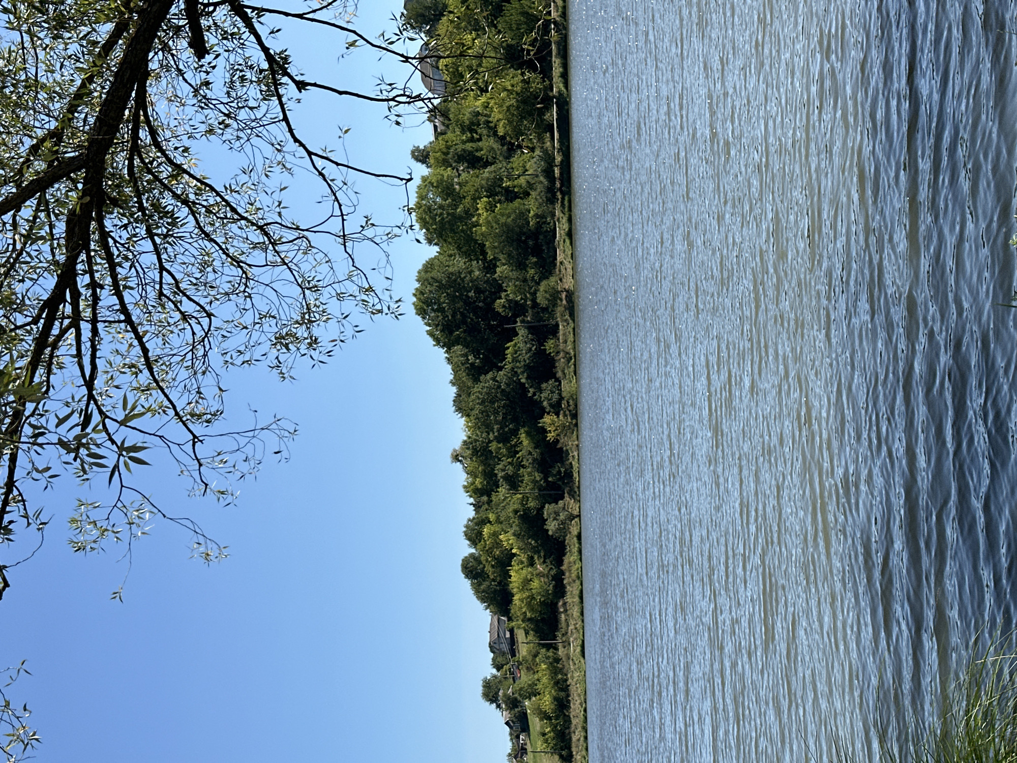 This is a photograph of a calm lake with a line of trees and houses visible on the far bank. The sky is clear and blue. The water is rippled, reflecting the light. In the foreground, there is some grass and vegetation. The location is the village of Makiv in Ukraine.