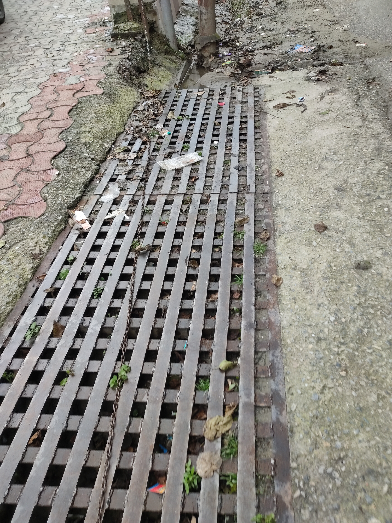 A grate covers a drainage channel on the side of a street in Bahang, India. The grate is made of metal bars and is partially covered with leaves and debris. To the left of the grate is a sidewalk made of interlocking concrete pavers. To the right of the grate is a dirt and gravel shoulder. The scene appears to be an outdoor urban environment.