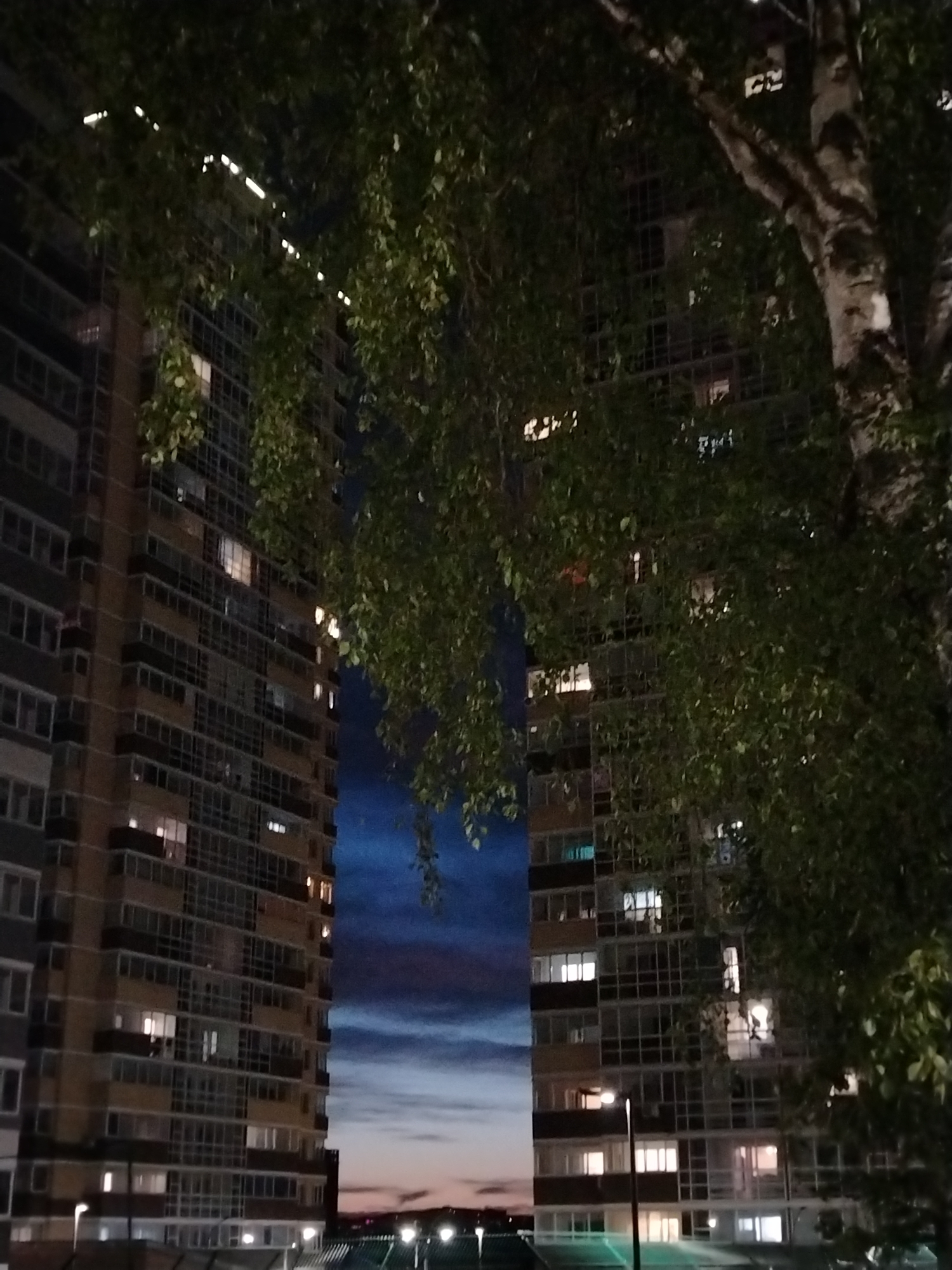 The image depicts a scene in Izhevsk, Russia, at dusk or night. Two tall apartment buildings flank a narrow strip of the sky, which fades from a deep blue at the top to a pinkish hue near the horizon. The buildings are illuminated with lights in some of the windows, suggesting residential activity. A tree with green foliage is present on the right side of the image, partially obscuring the building and the sky. Streetlights are visible at the base of the buildings.