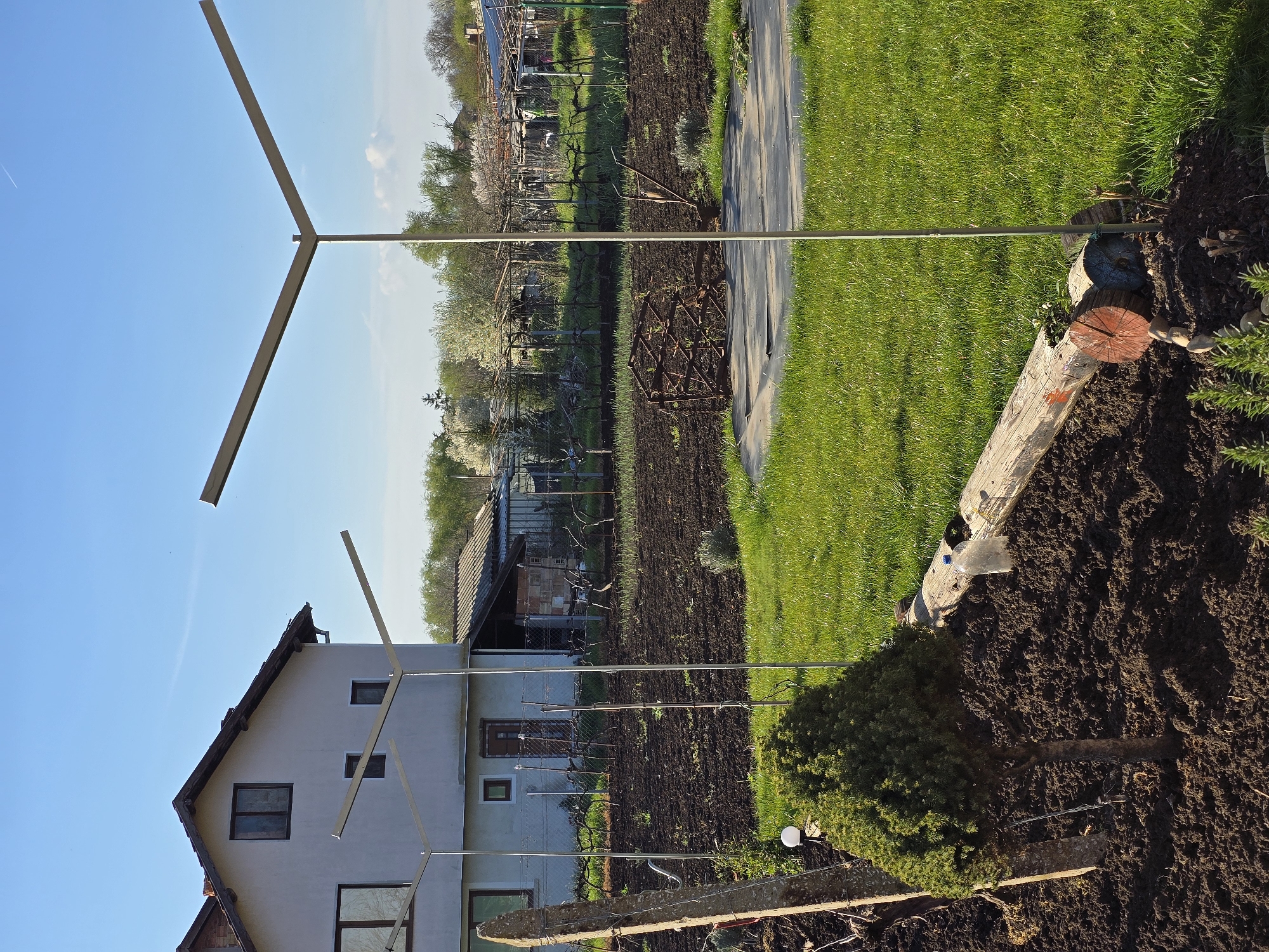 The image presents a rural scene near Stara Reka, Bulgaria, featuring a house and garden. A two-story white house with a brown roof is visible, with windows and some architectural details. A metal structure, perhaps for supporting plants, is erected in front of the house. The garden shows tilled soil alongside patches of green grass, suggesting agricultural or horticultural activity. Various garden elements, such as a small evergreen tree planted in the soil and pieces of cut wood serving as a border, are also present. In the background, a field and possibly other buildings or structures can be discerned. The sky is a clear blue, implying a sunny day.