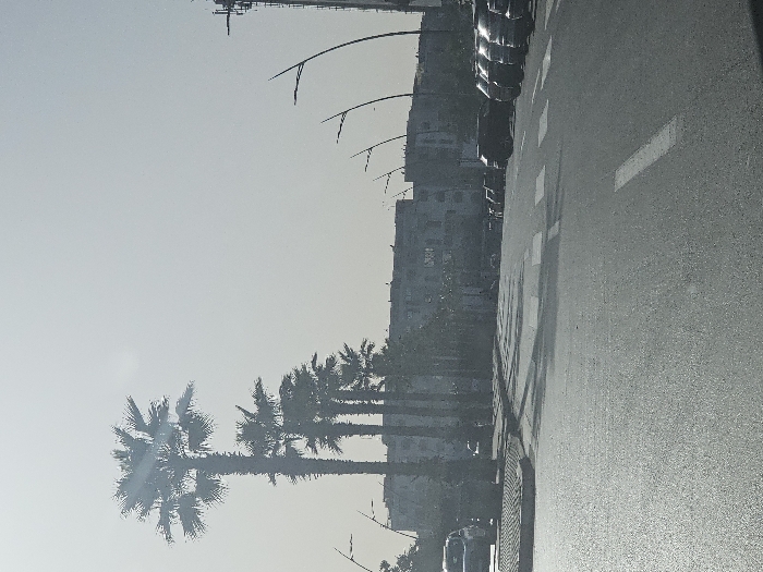 This image depicts a wide urban street in Salé, Morocco, captured under bright, hazy daylight conditions. The asphalt roadway in the foreground features distinct white painted lane markings, including solid lines, dashed lines, and segments consistent with a pedestrian crosswalk. Along the left side of the road, a raised median or sidewalk is bordered by a row of five prominent, tall palm trees. A single light-colored vehicle is partially visible on the far left edge of the frame. On the right side of the road, a row of approximately eight parked vehicles, predominantly dark-colored SUVs and sedans, are aligned parallel to the curb. Several modern streetlights with curved arms are visible extending into the frame from the right. In the background, a multi-story building, appearing residential or commercial with multiple windows and a flat roofline, is situated behind the trees and vehicles. No individuals are discernible within the scene.