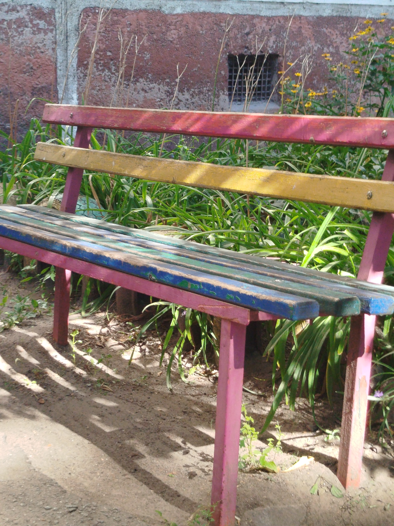 The image shows a colorful wooden bench in Kremenchuk, Ukraine, positioned in front of a textured, reddish-brown wall with a small, barred window. The bench has a pink frame and its wooden slats are painted in multiple colors: the top slat is pink, the middle slat is yellow, and the bottom slat is a weathered blue and green. Lush green foliage, including tall grass and some yellow flowers, grows behind the bench. The ground in front of the bench is sandy and speckled with small stones and dry leaves, with distinct diagonal shadows cast across it, suggesting it is outdoors in sunlight. There are no people or animals visible in the frame. The overall scene appears to be an outdoor seating area, possibly in a park or a courtyard.