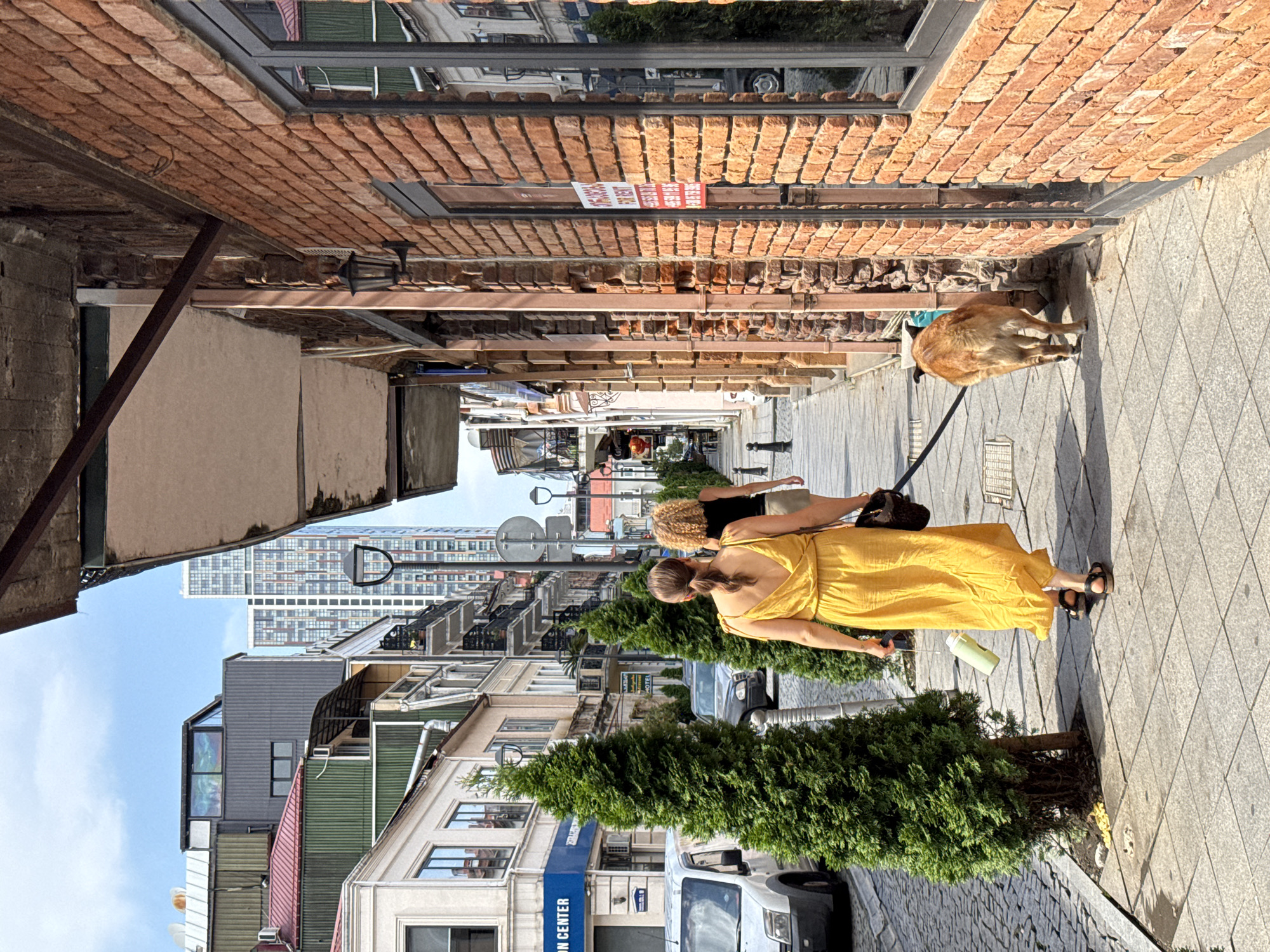 The image captures a street scene in Batumi, Georgia, featuring two women and a dog walking along a cobblestone sidewalk. The woman in the foreground wears a long, yellow dress and sandals, holding a green reusable water bottle and a dark bag. She is walking with a tan dog on a leash. Behind her, another woman with blonde, curly hair, wearing a black top and a beige skirt, follows.
The street is lined with buildings of varying architectural styles. To the left, a multi-story building with a blue awning that reads "ON CENTER" is visible, as is a white van parked on the street. Further down the street, the facade of a brick building with large windows dominates the right side of the frame, with a "FOR RENT" sign displayed on one of the windows. Tall, slender evergreen trees are planted along the sidewalk, adding greenery to the urban environment. In the background, a tall modern skyscraper is visible, contrasting with the older architecture. The sky is partly cloudy.