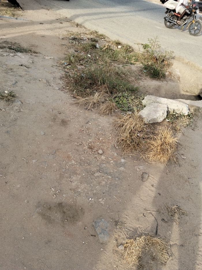 The image displays an outdoor scene, primarily focusing on an unpaved, sandy and dirt-covered area adjacent to a paved road. The ground is a mix of light brown and greyish dirt, with numerous small stones and scattered debris. Patches of vegetation are interspersed throughout this unpaved section; some are green, thriving grasses and low-lying plants, while others are clumps of dried, straw-like grass.
In the upper right portion of the image, a paved road is visible, gently curving away. On the road, a motorcycle or scooter with a person on it is partially visible. The person appears to be wearing a light-colored top, and some white bundles or bags are secured to the back of the motorcycle.
Towards the right side of the unpaved area, two irregularly shaped, light-colored concrete chunks are resting near what appears to be the edge of a ditch or culvert opening, indicated by a dark, shadowed recess.
Long shadows are cast across the dirt ground from the left side of the frame, suggesting either early morning or late afternoon sunlight. A large, dark, elongated shadow stretches across the lower left and central parts of the image, hinting at an object or person just out of frame to the left. The overall impression is that of a roadside verge in a dry or arid environment, possibly in a less developed area, given the unkempt nature of the ground and the mixture of natural growth and debris. No text is visible in the image.
