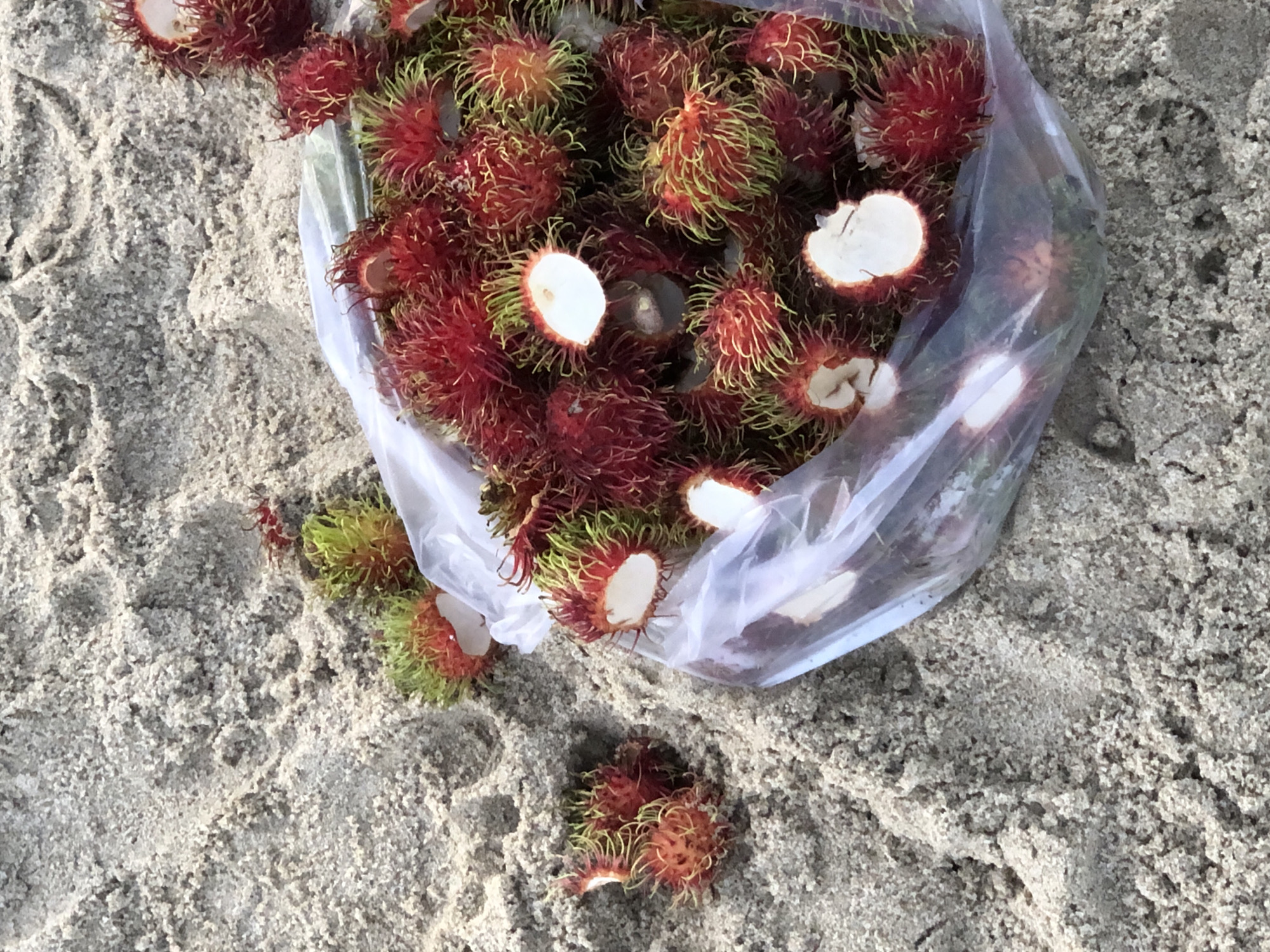 A pile of rambutans, a tropical fruit, are scattered on a sandy surface. Some of the fruits are in a translucent plastic bag, while others are outside the bag. The rambutans have red skin with green and yellow spines and some have been cut open, revealing white flesh. The sandy environment suggests a beach or coastal area, possibly in Đà Nẵng, Vietnam. The lighting indicates it is daytime. There are no people visible in the image.