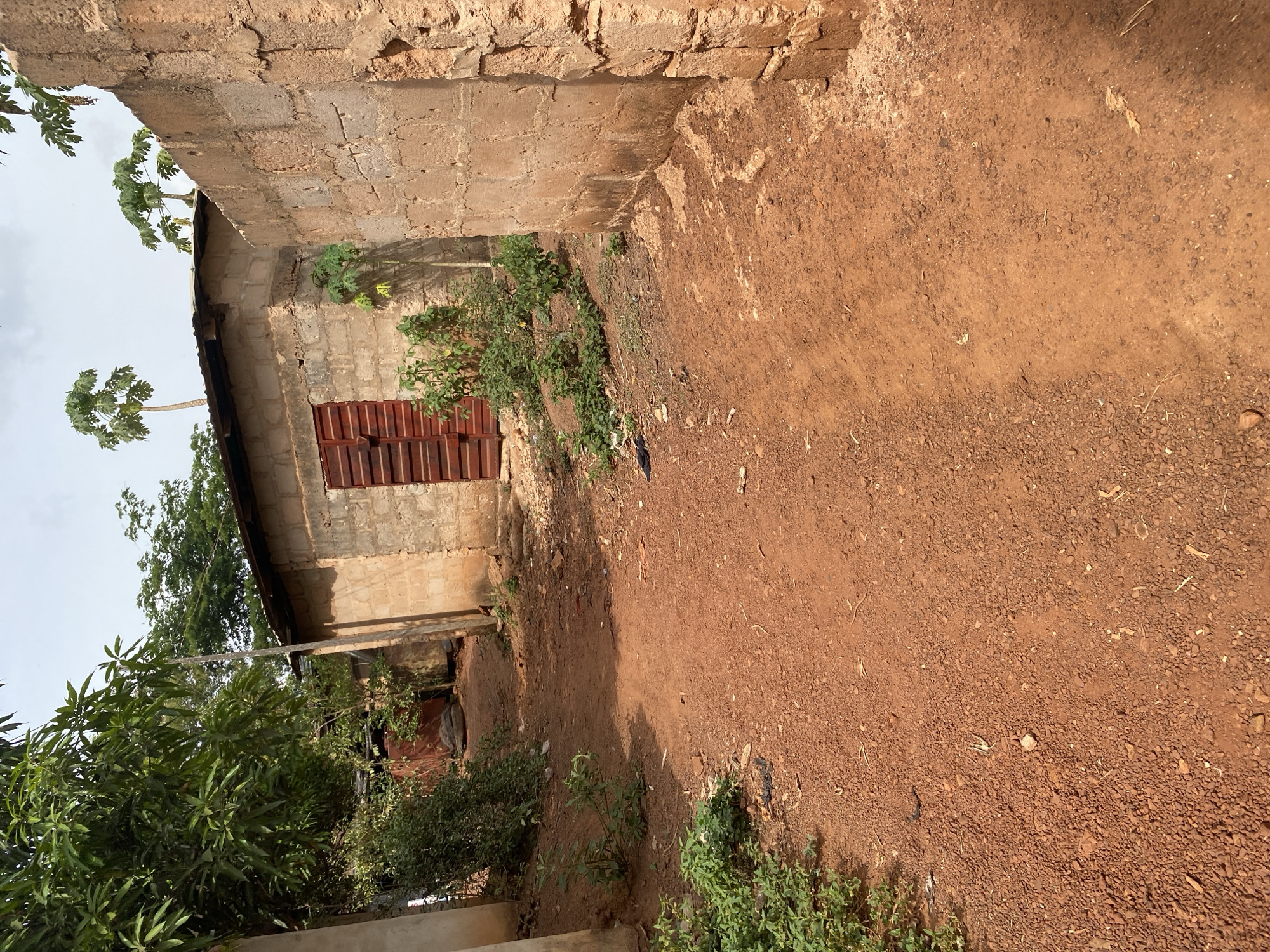An unpaved, reddish-brown dirt path, typical of Nsukka, Nigeria, extends through a semi-enclosed area under a partly cloudy sky. To the immediate left, a dense cluster of large-leafed green trees and shrubs partially obscures a light-colored vertical concrete structure. Further along the path on the left, another structure with a dark roof and a red metal gate is visible through the foliage. In the midground, on the right side of the path, stands a single-story building constructed from unpainted concrete blocks with a corrugated metal roof. This building features a prominent dark red, vertically slatted double door. Above the roofline of this building, several thin-trunked papaya trees with distinctive leafy crowns are visible against the sky. To the immediate right of the path, a tall, rough-textured wall, also constructed from concrete blocks, runs parallel to the path. Sparse green vegetation, including small plants and ground cover, grows along the edges of the path and at the bases of the structures. The ground surface is uneven, composed of small reddish-brown gravel and dirt, with scattered minor debris including dry leaves and a small dark object. No individuals are present, and no actions or interactions are observed.