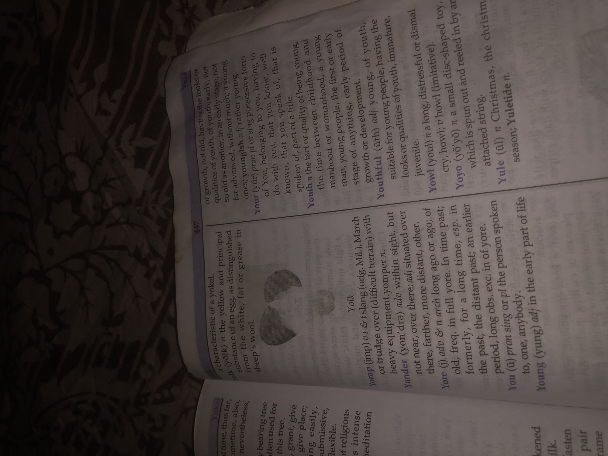 The image is a close-up, overhead view of an open book, possibly a dictionary or a lexicon, displaying entries from "Yoke" to "Yule." The text is printed in English, with some entries featuring phonetic transcriptions. The page exhibits signs of use, with faint yellowing and potential smudges. The background is a dark, textured fabric with a floral pattern, suggesting the book is placed on a surface like a bed or couch. There are no people, animals, or any objects other than the book visible. The lighting is dim, casting shadows and making some of the text difficult to read. The image does not contain any information related to Jalingo, Nigeria.