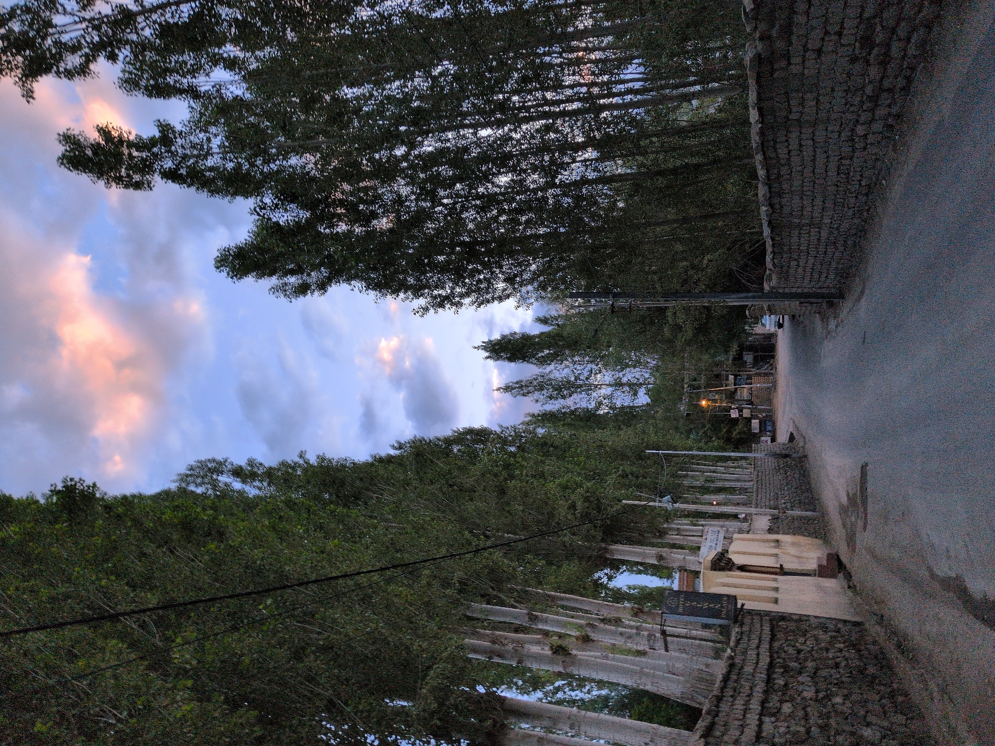 The image depicts a road in Leh, India, lined with tall trees on both sides. The road is paved and appears to be empty of people. The trees are densely packed, creating a natural tunnel effect. On the left side of the road, there is a stone wall and a building with a sign that reads "HOTEL". The sky is cloudy with hints of pink and orange, suggesting either sunrise or sunset. The overall atmosphere is serene and tranquil.