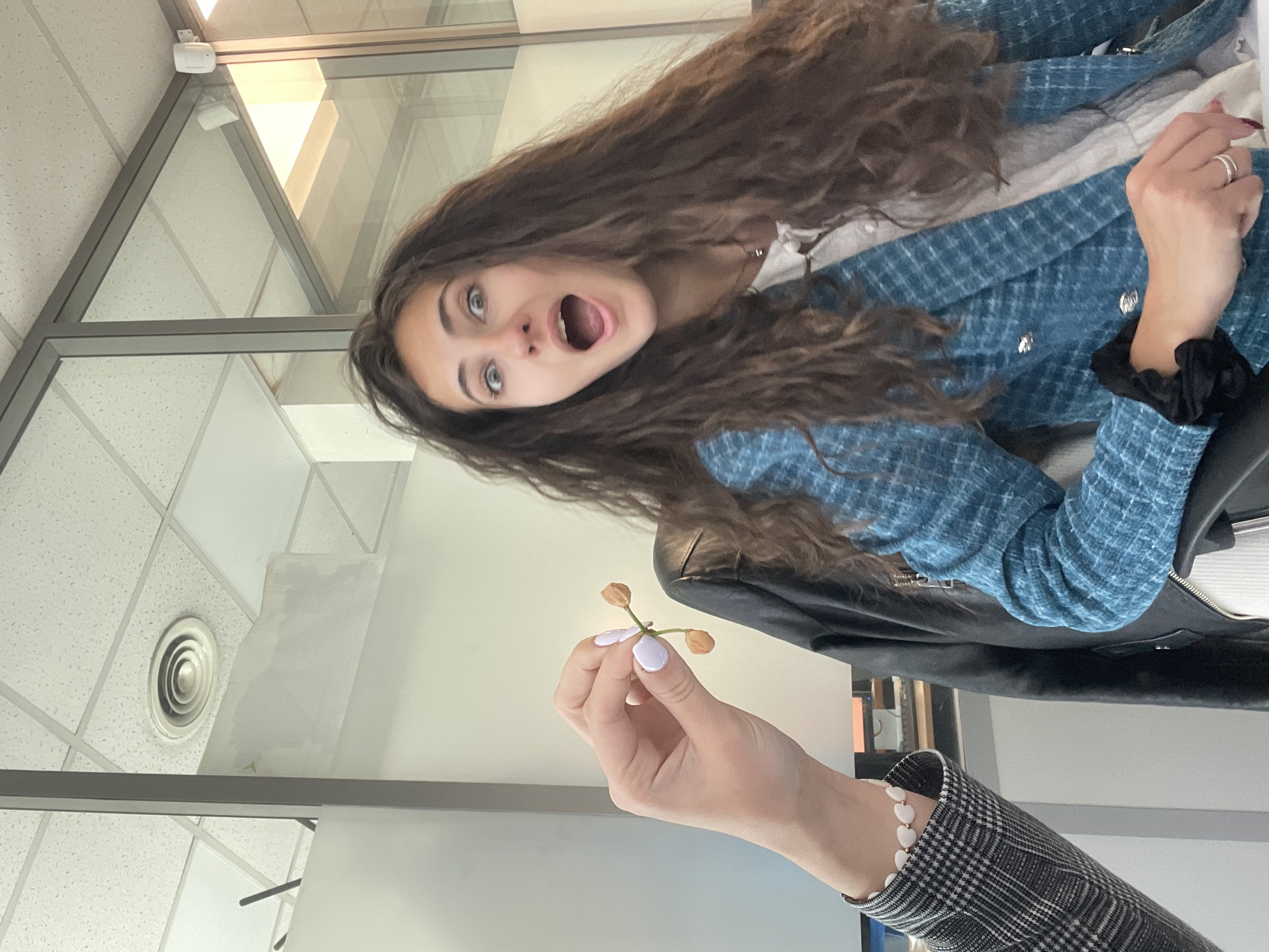 A young woman with long, wavy brown hair and light eyes is seen with her mouth wide open in a gesture of surprise. She is wearing a blue tweed jacket over a white top. In front of her, a hand holds a small sprig with three brown buds or seeds. The hand has light lavender-colored nail polish. The person holding the sprig is wearing a gray and black plaid jacket and a white bracelet with gold hearts. The setting appears to be indoors, near a window with a view of a suspended ceiling. The location is the city of Sofia, Bulgaria.