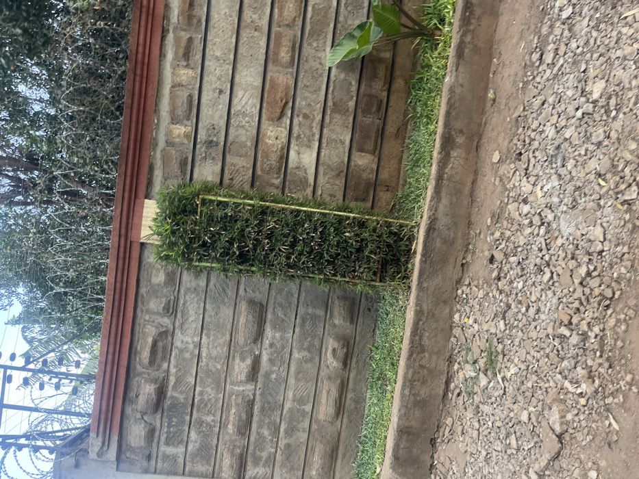 A grey brick wall bordered with a red trim is partially covered by a rectangular green planter. A small patch of green grass grows along the base of the wall on the right side. The ground to the right of the wall is a gravel path. Above the wall, trees and a barbed wire fence are visible against a pale sky.