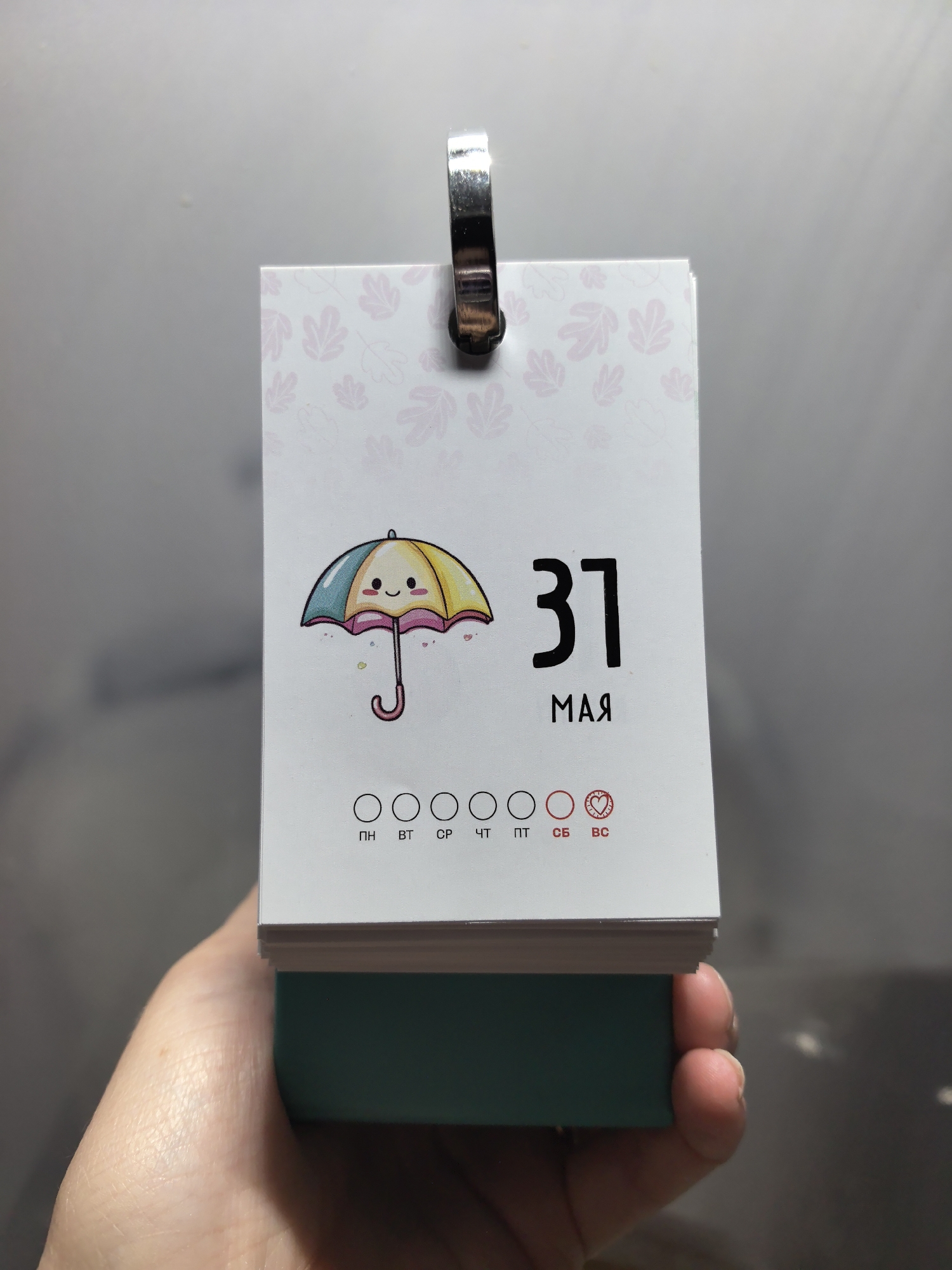 A close-up shot depicts a hand holding a desk calendar open to the date May 31st. The calendar page features a cartoon umbrella and days of the week indicated in Russian abbreviations, with Sunday (BC) highlighted in red. The background appears to be a plain wall. This photo was taken in the city of Фролы, Russia.