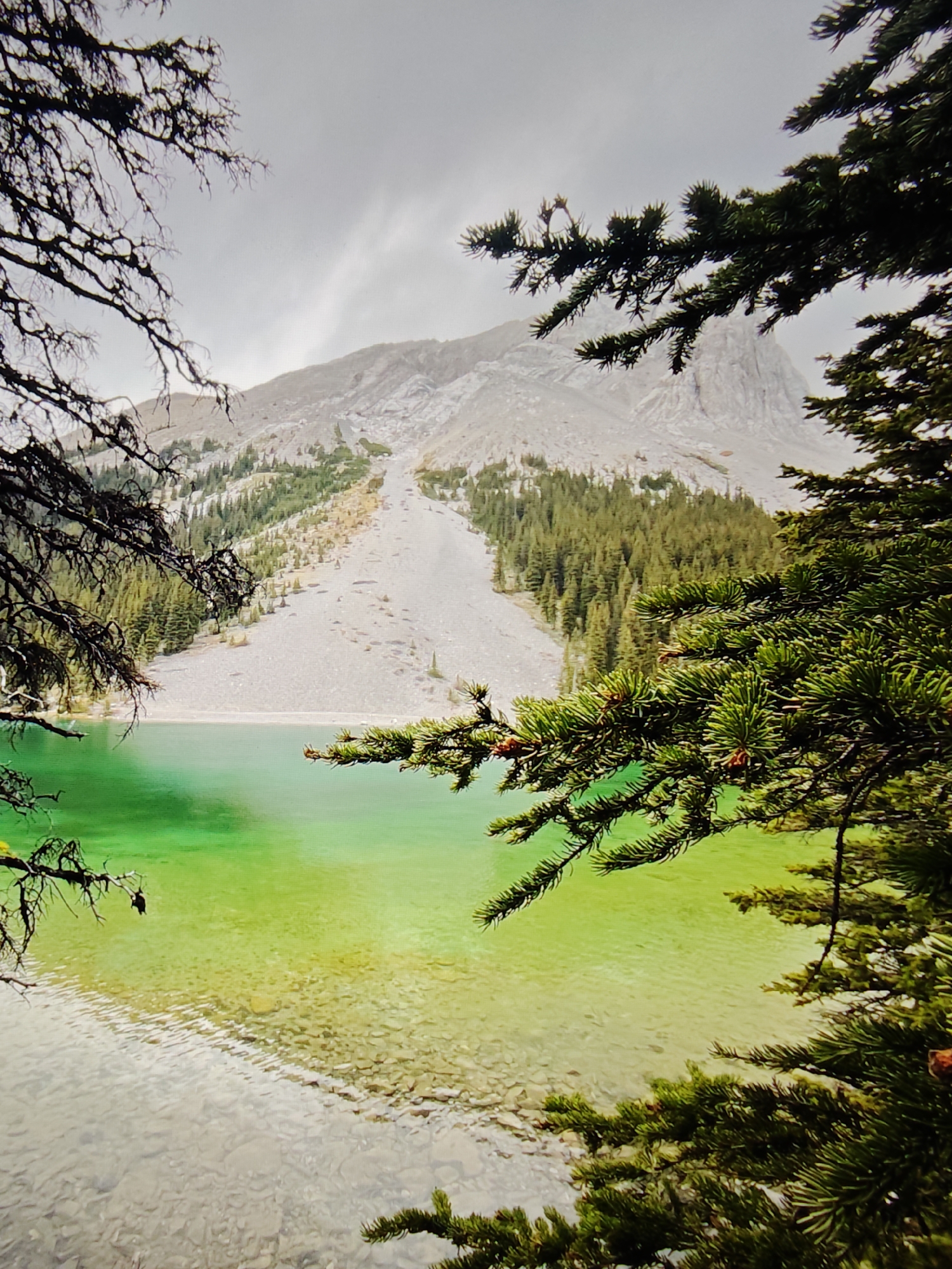 The image depicts a vibrant, emerald-green lake framed by coniferous trees and a rocky, mountainous landscape. In the foreground, dark, silhouetted branches of evergreen trees, possibly pine or fir, obscure parts of the view. The lake's water is exceptionally clear, allowing the rocky lakebed to be visible near the shore.
Beyond the lake, a steep, grey scree slope dominates the mid-ground, interspersed with patches of green forest. The slope leads up to a prominent, rugged mountain peak in the background. The sky is overcast and cloudy, suggesting a cool or temperate climate. The scene is natural and scenic, characteristic of a mountain park. While this image captures a quintessential Rocky Mountain landscape, the specific location within the city of Calgary, Canada, cannot be definitively identified from the visual information alone; however, the scenery is consistent with areas like Kananaskis Country, which is near Calgary. There are no people or animals visible in the image.