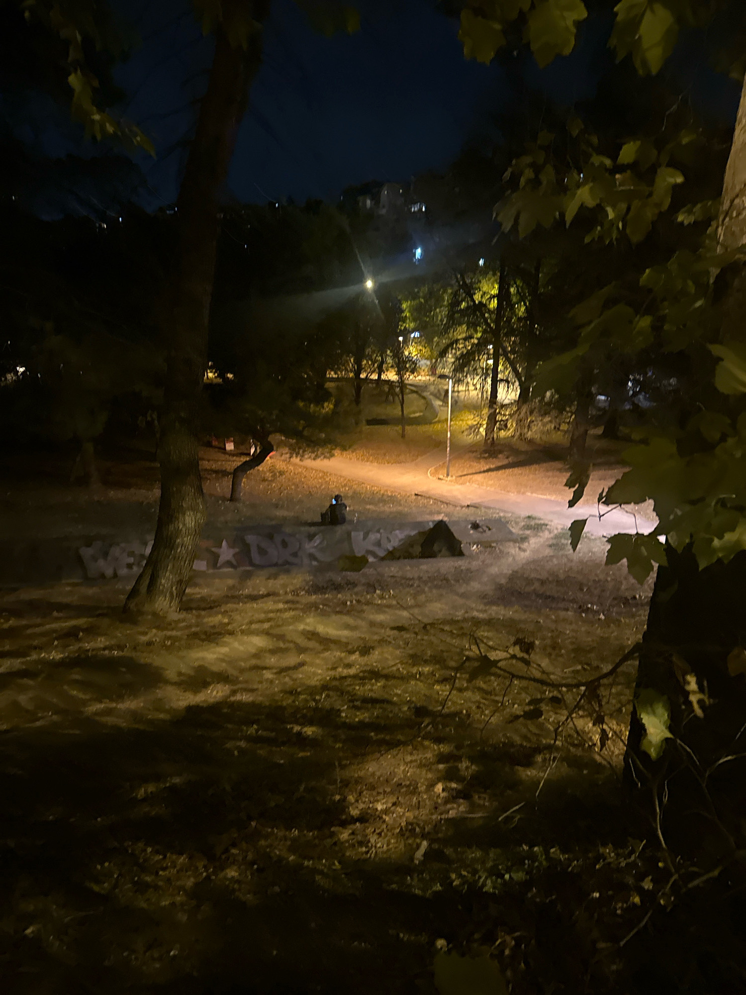 The image depicts a nighttime scene in a park-like setting, possibly a section of Belgrade, Serbia, given the presence of graffiti that appears to include Cyrillic script. A lone individual is seated on the ground, illuminated by a nearby lamppost. The ground is covered in dry leaves and scattered debris, suggesting it might be autumn. In the foreground, a large tree trunk is visible, partially obscuring the view of the park. In the background, more trees, a pathway, and distant buildings are dimly lit by artificial lights. The overall atmosphere is dark and somewhat desolate, with shadows cast by the trees and the lamppost. The graffiti on the wall appears to spell out words, potentially tags or messages, adding a layer of urban texture to the natural environment. The person is facing away from the camera, engrossed in their activity, with a mobile device held in their hand.