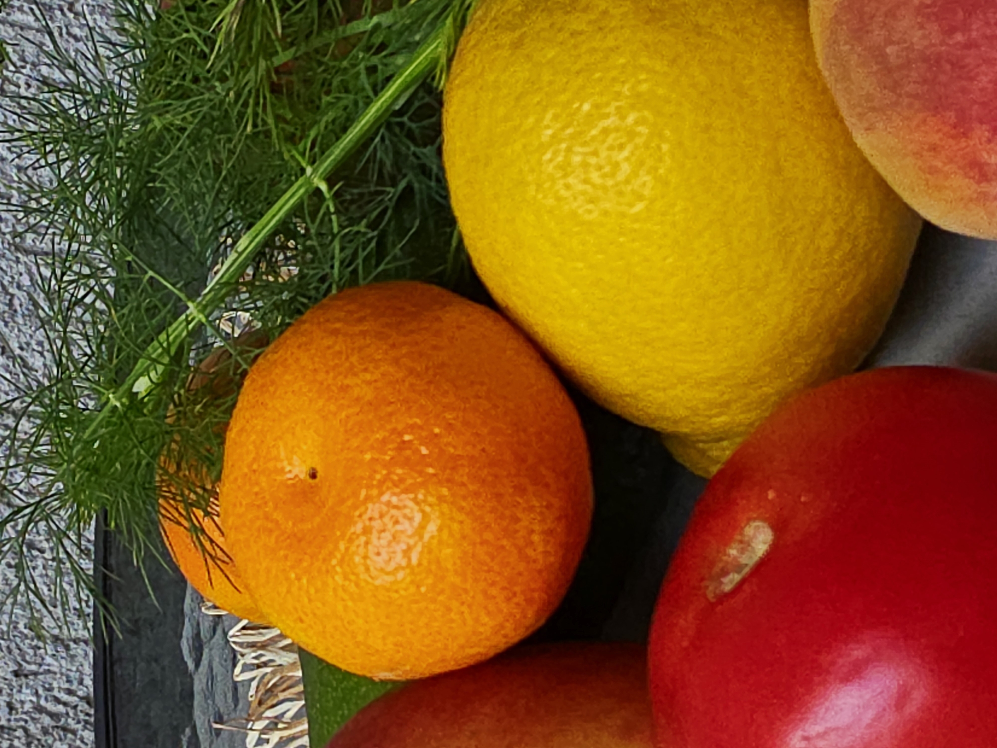 This close-up, high-angle shot features a vibrant assortment of fresh fruits and green herbs arranged together. Dominating the upper right and center is a large, bright yellow lemon with a distinctively textured peel. Below it and slightly to the left is an orange tangerine or small orange, also displaying a textured skin and a small dark indentation near its top.
To the left of the orange fruit and partially obscured by it are slender, feathery green fronds, strongly resembling dill or fennel. These fronds extend from the middle left towards the top left, resting against a light grey, textured surface, possibly concrete or stone. A dark, smooth surface is visible beneath some of the produce.
In the bottom right, a large, smooth, bright red fruit, possibly an apple or a bell pepper, is partially visible. It has a small, light-colored blemish on its surface. Another fruit, a peach or nectarine with a slightly fuzzy, reddish-yellow skin, is seen in the upper right corner, partially obscured by the lemon. The overall composition highlights the natural colors and varied textures of fresh produce, suggesting a still life arrangement. The lighting suggests daytime. There is no visible text or human activity.