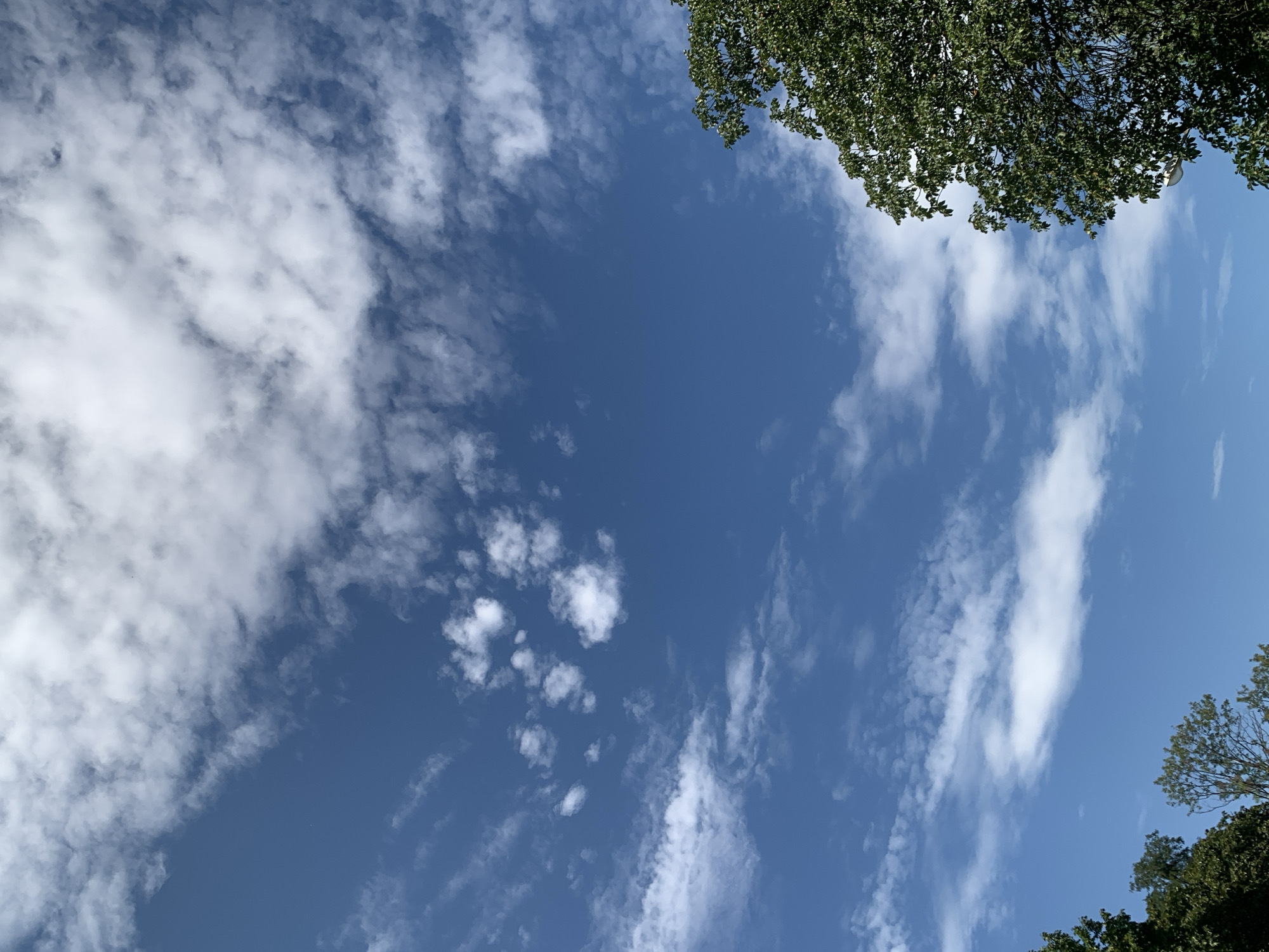 The image depicts a bright blue sky with scattered white clouds. In the lower right corner, the upper branches of a lush green tree are visible. In the lower left corner, the tops of other trees can be seen. The scene appears to be an outdoor environment, possibly a park or a residential area in Lviv, Ukraine. No people or specific actions are evident. The lighting suggests it is daytime.