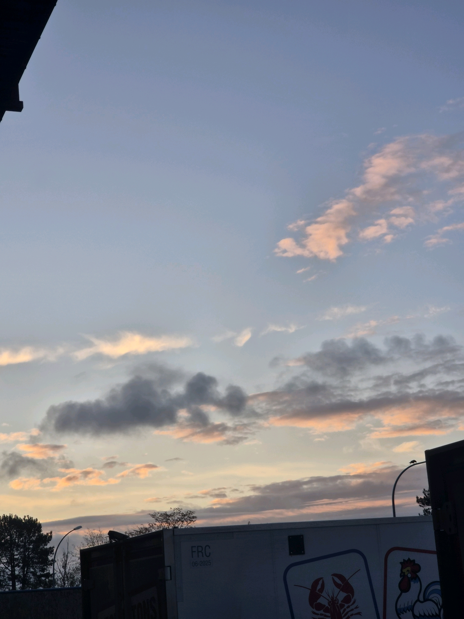 The image depicts a sky with scattered clouds, tinted with hues of pink and orange, suggesting either dawn or dusk. In the foreground, a portion of a dark structure is visible on the left, and on the right, a large white container with the text "FRC 06-2025" is present. The container also features graphic illustrations of a lobster and a chicken. Silhouettes of trees and a lamppost can be seen behind the container. The overall scene is likely an outdoor environment within the city of Leudelange, Luxembourg.