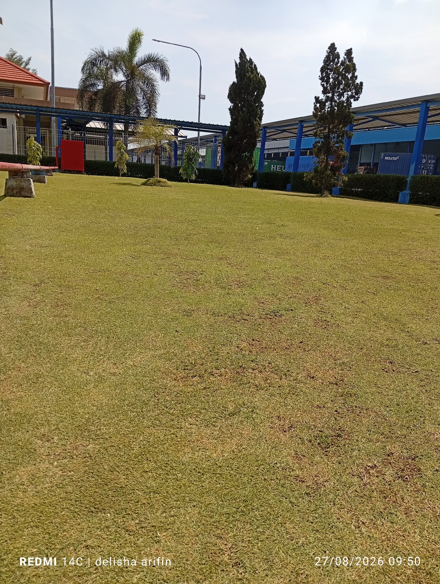 The image shows a well-maintained green lawn in front of a building complex. In the background, there are buildings with blue roofs and white walls, along with a blue fence and some green hedges. Several trees, including palm trees and conifer-like trees, are visible. There are also some industrial shipping containers in the background. The sky is clear and blue, suggesting a sunny day. The overall scene appears to be an outdoor area of a commercial or industrial facility. The bottom of the image contains text that reads "REDMI 14C | delisha arifin" and "27/08/2026 09:50", indicating the date and time the photo was taken, and possibly the device used. There are no people visible in the image.
