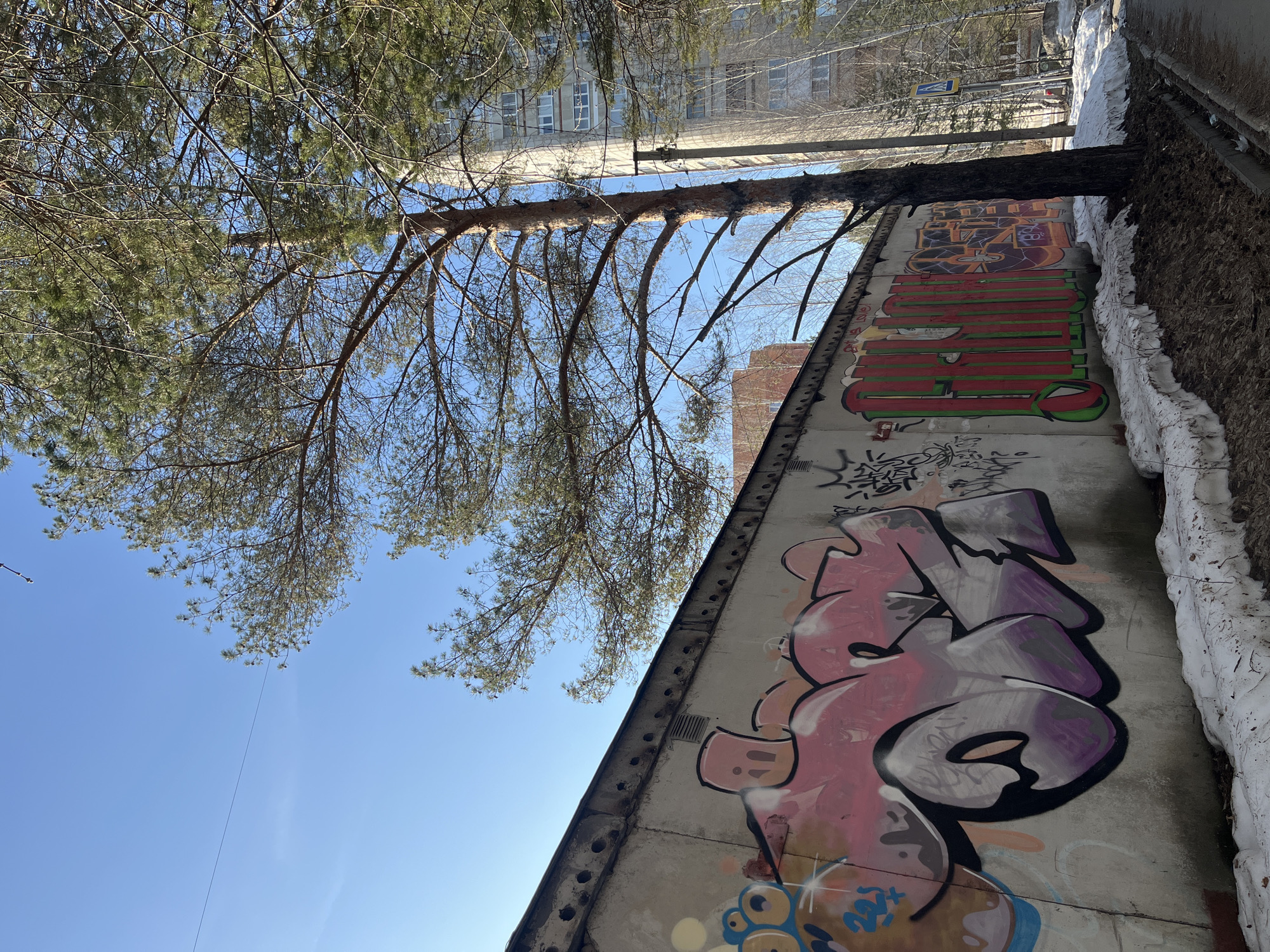The image depicts an outdoor urban scene in what appears to be Chaikovsky, Russia. A weathered, gray concrete structure with extensive graffiti stands prominently in the foreground. The graffiti includes large pink and purple stylized lettering as well as other smaller tags and designs. A pine tree with bare branches and needles overhangs the concrete structure. Behind the structure, a multi-story building is visible. Patches of snow linger along the edge of the structure. The sky is clear and blue.