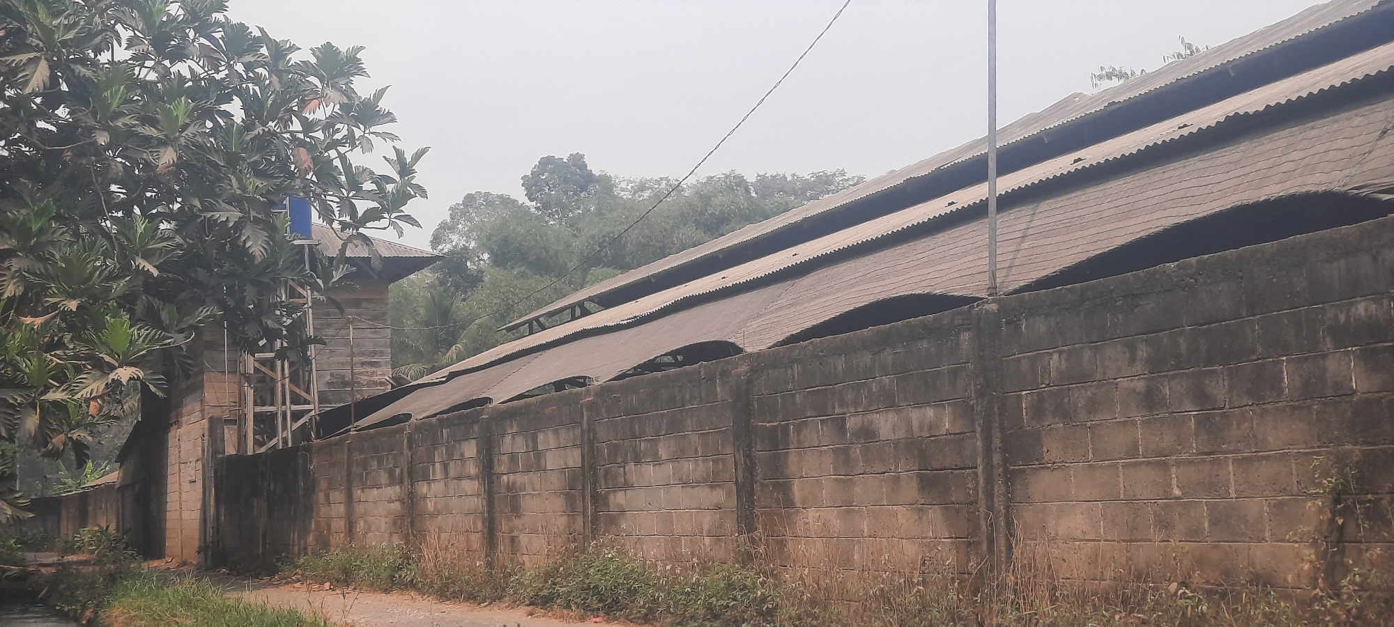 A street-level, eye-level, medium-wide shot captures a scene in Ploso, Indonesia, dominated by a long, dilapidated concrete block wall. The wall, constructed with large, rough-textured blocks, stretches horizontally across the frame, showing signs of age and wear with patches of discoloration and moss. Behind the wall, a large, multi-tiered building with a corrugated metal roof is visible. The roofline is uneven and appears to sag in places, with multiple peaks and valleys. The building's structure suggests an industrial or storage purpose, with open sections under the eaves allowing glimpses of the interior. To the left of the frame, a large tree with broad, dark green leaves partially obscures a smaller, weathered wooden structure. A blue water tank is perched atop this wooden structure, accessible by a metal ladder. The ground in front of the wall is a dirt path with sparse, dry grass and weeds growing along the edges. In the far background, a dense line of trees and foliage creates a natural backdrop against an overcast sky. The overall atmosphere is muted and slightly hazy, indicative of an ambient, possibly humid, environment.