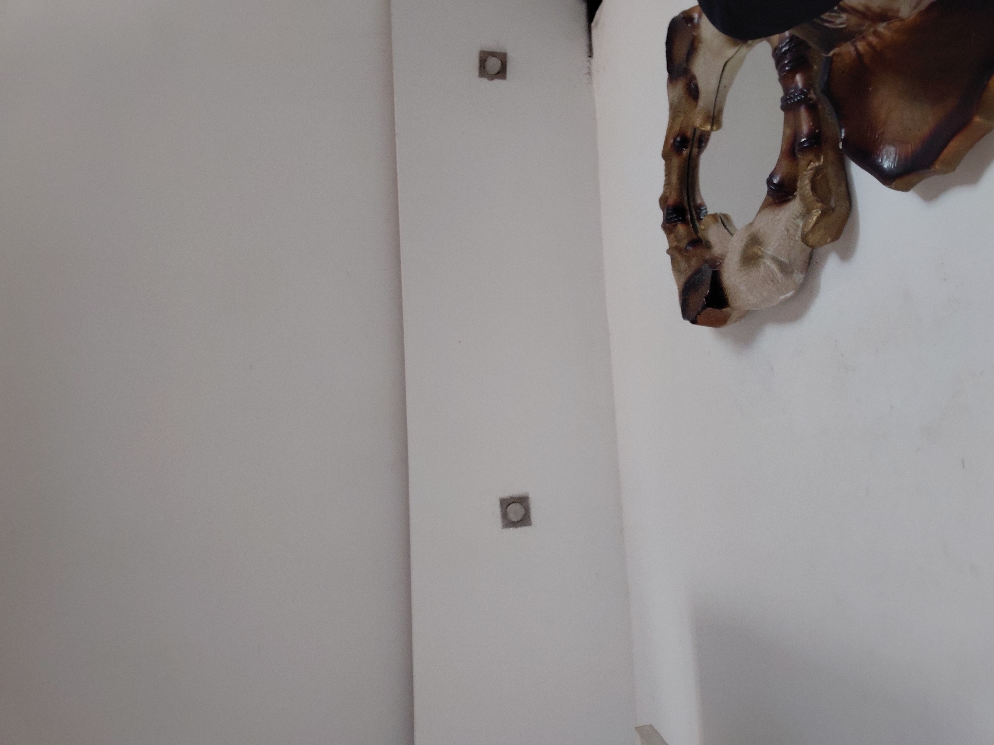 The image captures an indoor scene, likely a corner between two white walls or a wall and a large panel, in Santa Ana, Venezuela. The dominant feature is a plain, light-colored wall (appearing white or off-white) that spans most of the frame. On this wall, towards the center-right, two small, square outlets or cover plates are visible, stacked vertically. They appear to be made of a metallic or light grey plastic material. To the far right, a decorative object is partially seen, mounted on the wall. This object features a complex, organic design in shades of dark brown and tan, with glossy and textured surfaces, possibly resembling stylized bone, wood, or a ornate mirror frame. No specific activity is taking place. The scene is static, illuminated by interior lighting. There is no visible text.