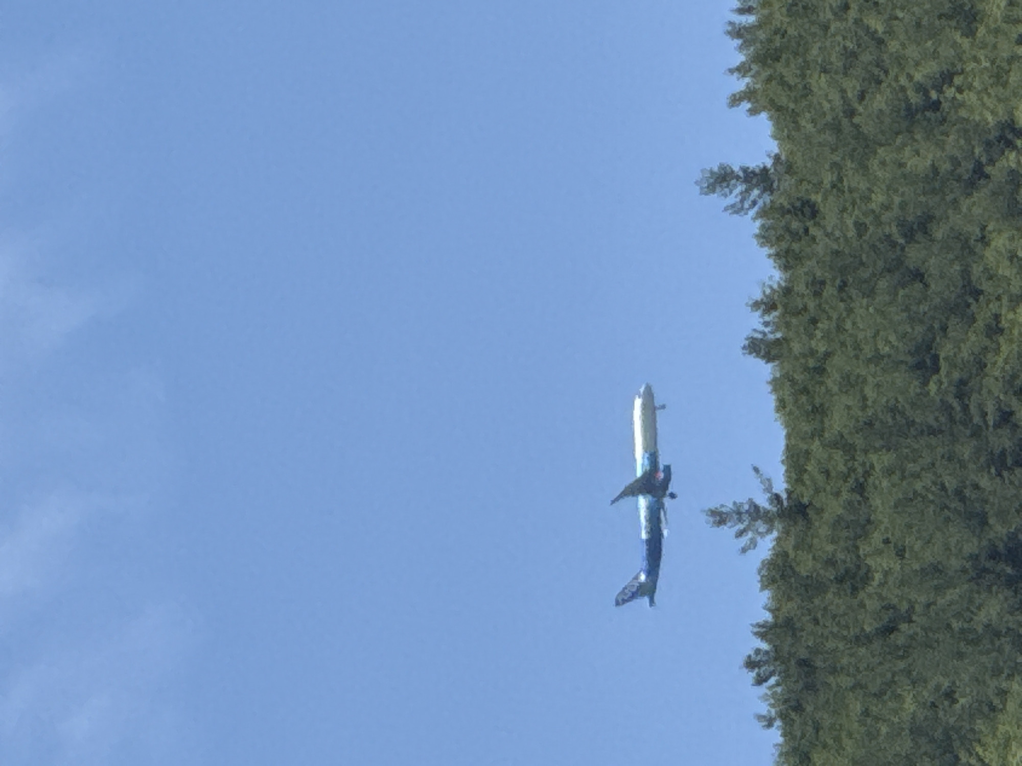 An airplane is flying in the sky over a dense forest in Budva, Montenegro. The airplane is a passenger jet with blue and white livery. It is flying at an altitude that suggests it is either approaching or departing from an airport. The sky is clear and blue, with a few wispy clouds. The forest is made up of a variety of green trees, which appear to be mostly deciduous. The image was taken from a slightly low angle, looking up at the airplane.