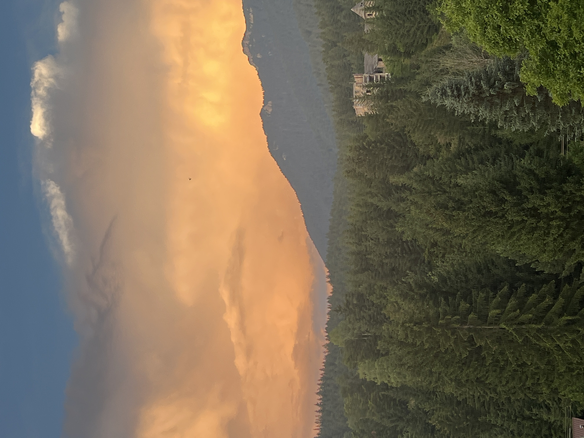 A wide shot captures a dense forest with a mountainous backdrop under a dramatic, sunset-colored sky. The forest is predominantly composed of dark green evergreen trees, with a few lighter-colored trees interspersed. In the middle ground, partially obscured by the trees, are several weathered, multi-story stone buildings that appear to be in a state of disrepair, possibly an abandoned complex or ruins. One building has a pointed roof. A dark, steep mountain range dominates the background, its peak silhouetted against the vibrant orange and yellow clouds that fill the upper portion of the frame. A patch of clear blue sky is visible in the top left corner, contrasting with the fiery hues of the sunset clouds. A tiny, dark shape, potentially a bird, is visible in the sky between the clouds and the mountain. The overall impression is one of a remote, wild landscape at dusk.
