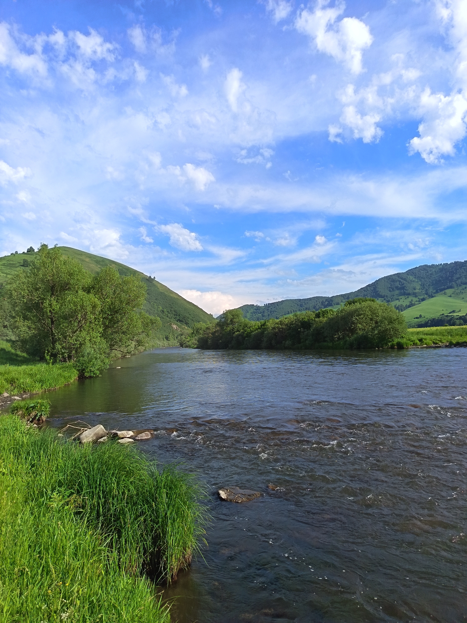 The image shows a wide, dark river flowing through a lush green valley under a bright blue sky with scattered white clouds. On the left bank, tall green grass grows along the water's edge, with several large rocks visible. A large tree with dense green foliage overhangs the river from the bank. Beyond the trees on the left, a rolling green hill rises steeply. On the right bank, dense green trees and bushes line the water, with more rolling green hills receding into the distance. The river itself is calm but shows some ripples and a few submerged rocks. The scene depicts a natural, outdoor environment, likely in a rural area. The location is identified as being in Soloneshnoye, Russia. There are no people or animals visible in the image.