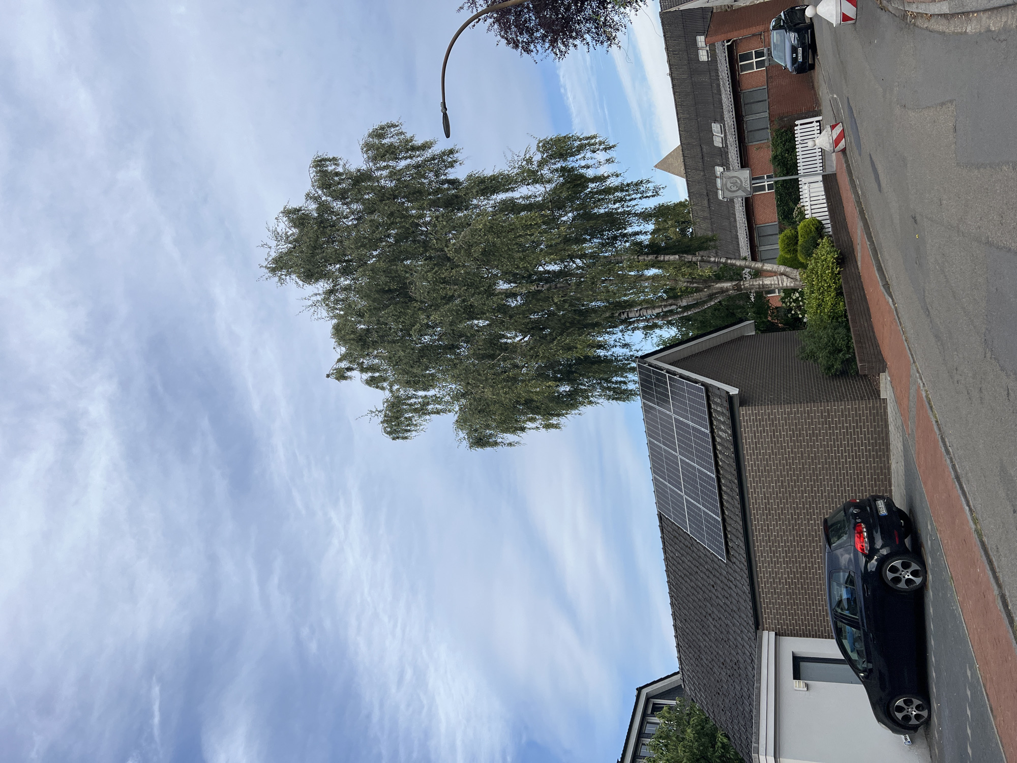 An exterior, eye-level, medium shot captures a residential street scene under a cloudy sky with blue patches. On the left, a dark-colored Volkswagen Golf is parked alongside a house with a grey exterior and a dark tiled roof. Solar panels are installed on the pitched roof of a connected brick structure. A large, mature birch tree with thin, white bark dominates the center of the frame, its green leaves casting dappled shadows. Further down the street, a red brick building with a dark roof and several windows is visible, with a white picket fence in front of it. A dark-colored SUV is parked in front of this building, and a street lamp with a curved arm arches over the road. Red and white traffic cones are placed on the side of the road.