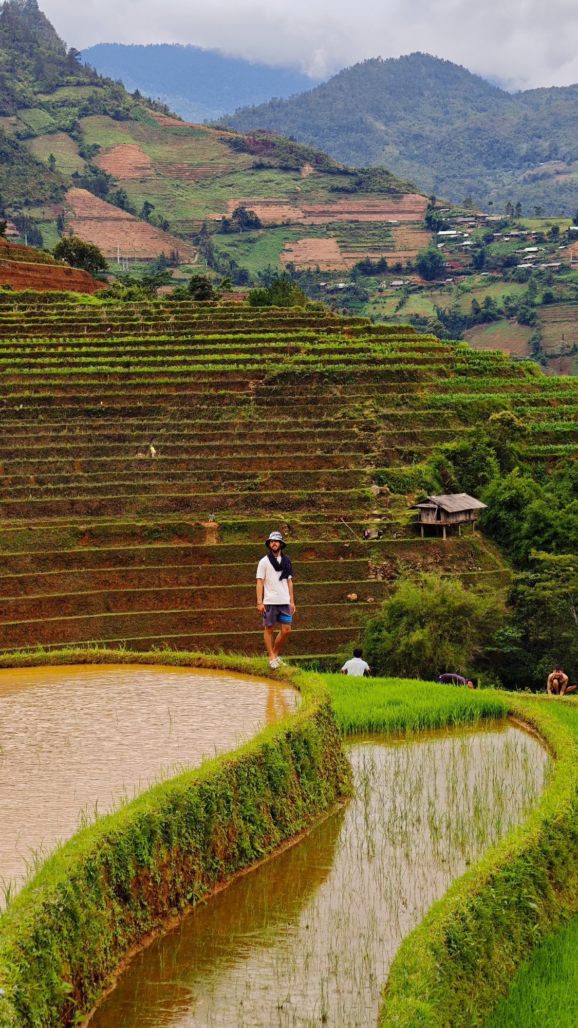 This vertical image depicts a terraced agricultural landscape in Dế Xu Phình, Vietnam, under an overcast sky. In the foreground, two curved, flooded rice paddies are visible; the left paddy contains brownish water, while the right paddy features young green rice shoots reflecting in lighter water. A male subject with a beard, wearing a white t-shirt, dark shorts, white sneakers, a patterned bucket hat, and a dark scarf, stands centrally on the narrow earthen bank between these two paddies, facing the viewer. To his right, within the green rice paddy, one individual in a light-colored shirt is seated or kneeling, and another individual is partially obscured, appearing prone or bent over. A fourth individual is crouching on a paddy bank at the far right.
The midground is dominated by numerous terraced rice paddies ascending the mountain slope, exhibiting varying stages of cultivation with areas of brown soil and green vegetation. A small, elevated wooden hut with a dark roof stands on a terrace to the right of the central figure. Indistinct small figures, possibly people or animals, are visible on some of the higher terraces. The background features steep mountains covered with dense forest and scattered cultivated patches. A collection of small, distant structures, suggestive of a village, is visible on the lower slopes of the background mountains. The sky is uniformly grey with visible cloud cover over the distant peaks.