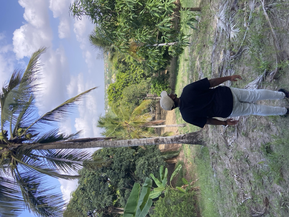 A sunny outdoor shot shows a man in a black t-shirt, light jeans, and a baseball cap standing in a lush, green landscape. Palm trees with coconuts, banana plants, and various trees fill the scene. The sky is blue with fluffy white clouds. The ground is covered with dry leaves and grass, suggesting a tropical environment. The photograph is slightly rotated.