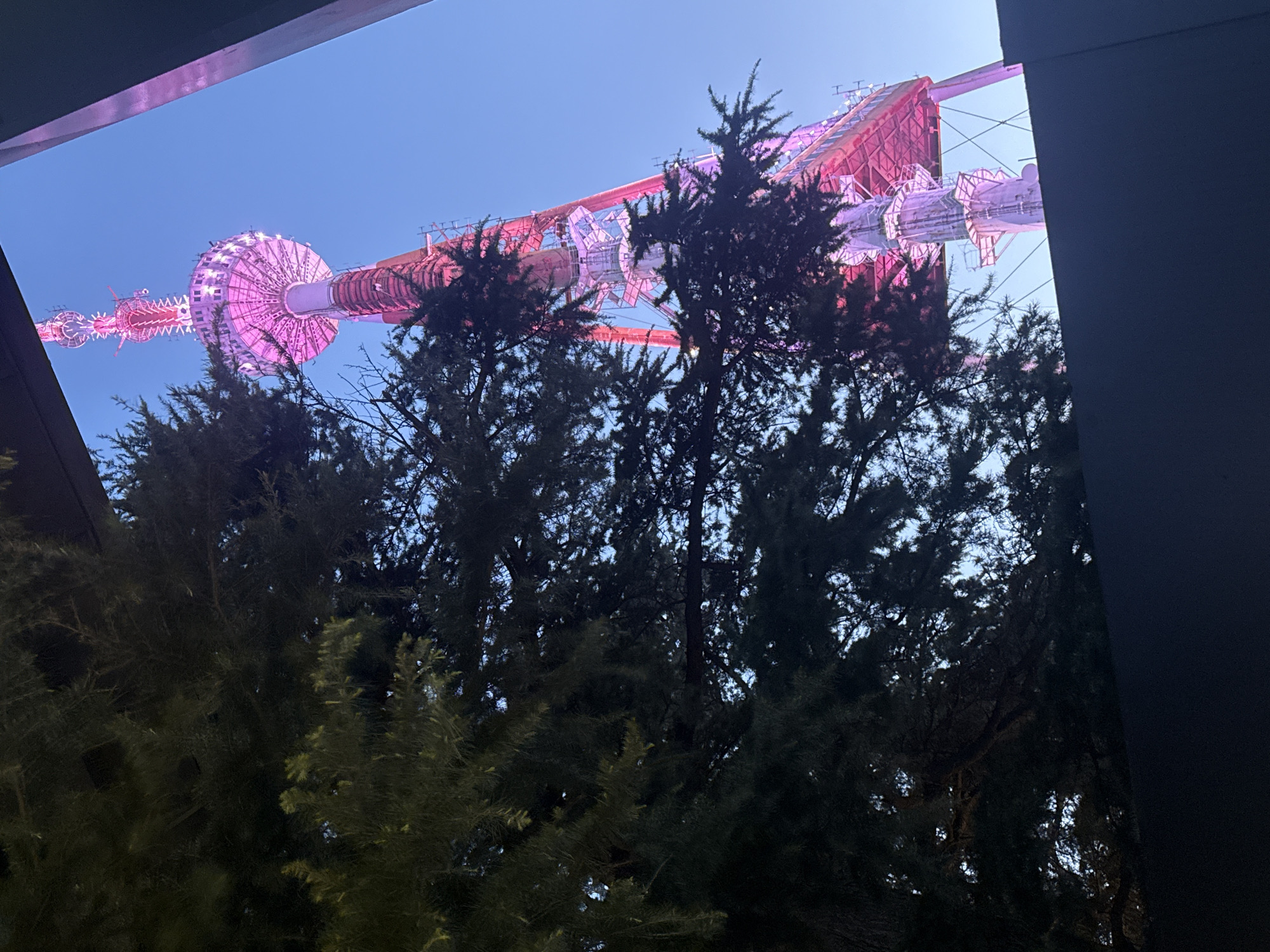 The media file captures an upward view of a brightly illuminated tower, likely the Tbilisi TV Broadcasting Tower, set against a clear, deep blue sky. The tower, visible between silhouetted tree foliage in the foreground and dark architectural elements framing the top and right sides, is adorned with vibrant pink and purple lights.
The tower itself features a series of cylindrical and disk-like sections, connected by truss-like structures, all glowing with artificial light. The lighting highlights its intricate design. In the immediate foreground and midground, dense clusters of dark green conifer trees partially obscure the lower and central portions of the tower, adding depth to the scene. The dark foliage of the trees contrasts sharply with the luminous tower and the twilight sky.
Parts of a dark structure, possibly a building or an overhead awning, are visible in the upper left and right edges, creating a framed perspective of the tower. The sky, a clear blue, suggests the photograph was taken during late evening or twilight, when the artificial lights of the tower become prominent. There are no people or discernible activities taking place. No visible text is present in the image. The scene conveys a striking urban landmark illuminated against the night sky in Tbilisi, Georgia.