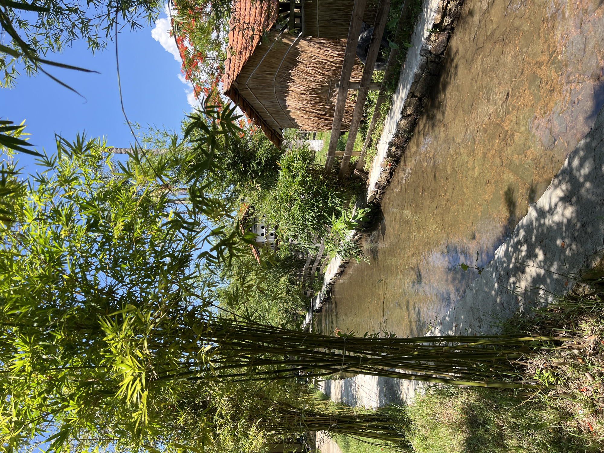 This is a sunlit, outdoor photograph taken in the city of Cam Ranh, Vietnam. The scene depicts a narrow, shallow waterway flowing through a landscaped area. Tall stalks of bamboo line the left side of the waterway, their green leaves creating dappled shadows on a paved path. The waterway itself has a stone-lined edge and a rocky, sandy bottom, with clear, shallow water.
On the right side of the waterway, a rustic wooden fence separates the water from a small thatched-roof hut with a tile roof. The hut appears to be a simple structure, possibly for shelter or storage. Behind the hut and bamboo, more lush greenery and trees are visible. In the background, a small white birdhouse with two openings is perched on a pole among the trees. The sky is a clear blue with a few wispy clouds. The overall impression is one of a serene, natural setting, likely a park or a garden. No people are present in the image.