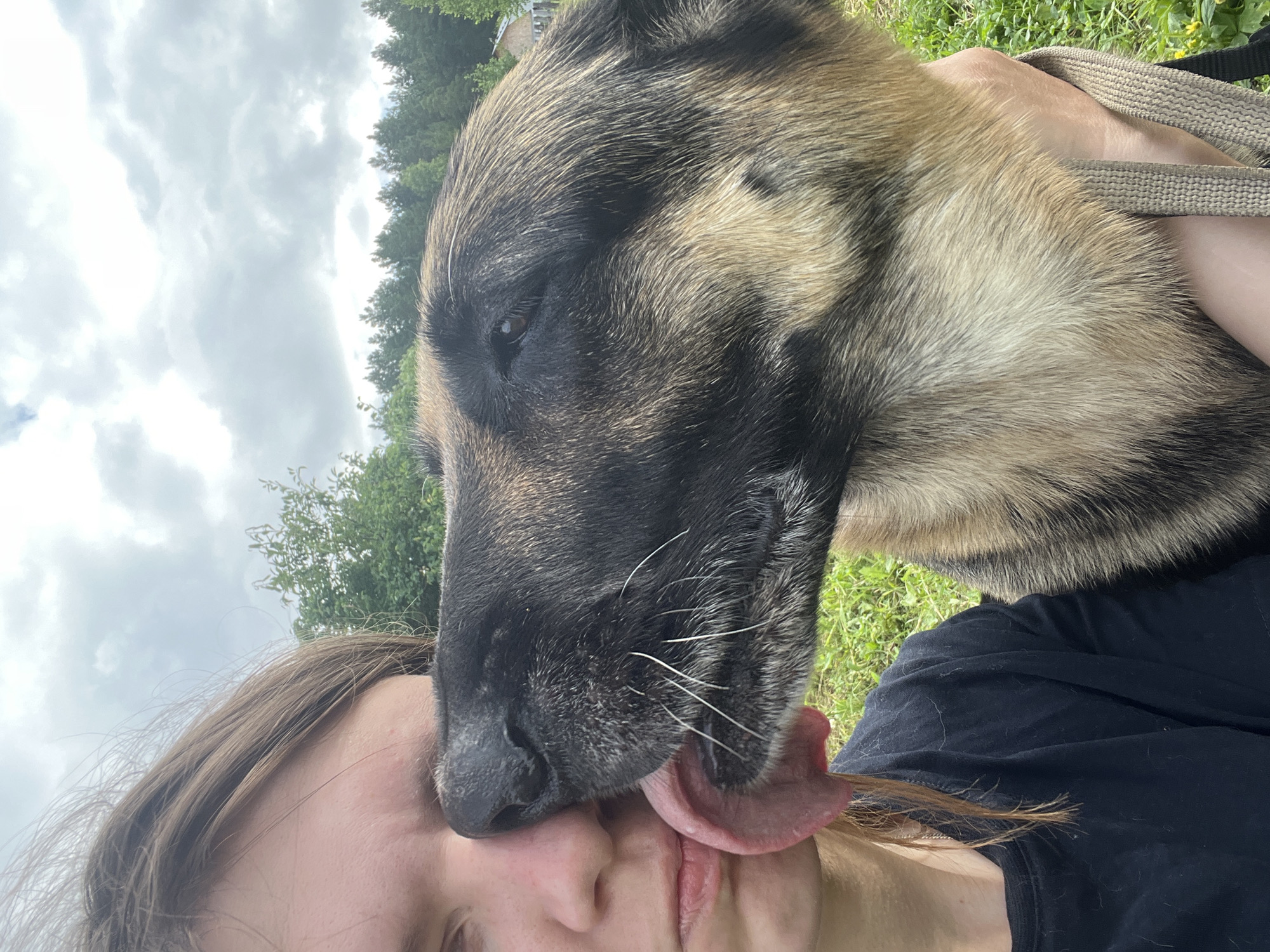 A close-up shot captures a person and a German Shepherd dog in an outdoor setting. The person, with long brown hair and fair skin, is facing left, their mouth puckered. A large portion of their left cheek and part of their nose are covered by the dog's snout. The dog, with typical German Shepherd coloring of black and tan fur, is licking the person's face. The dog's tongue is visible, extended and touching the person's skin. The dog is held by a person's arm, wearing a black t-shirt, and is positioned to the right of the person. The background shows lush green grass and trees, with a hint of a cloudy sky. The scene appears to be a casual interaction between a person and their pet in a natural environment, potentially a park or a backyard. There are no identifiable landmarks of Nizhny Tagil, Russia.